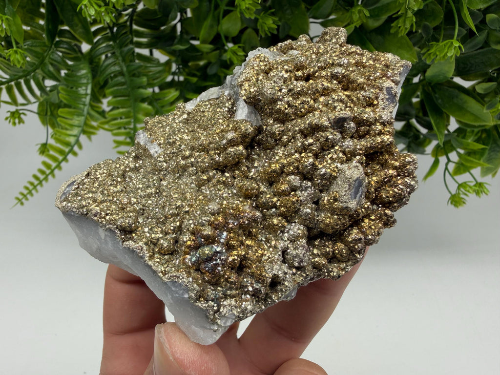 Marcasite Cluster on Chalcedony Mineral Specimen, Androvo Mine Bulgaria
