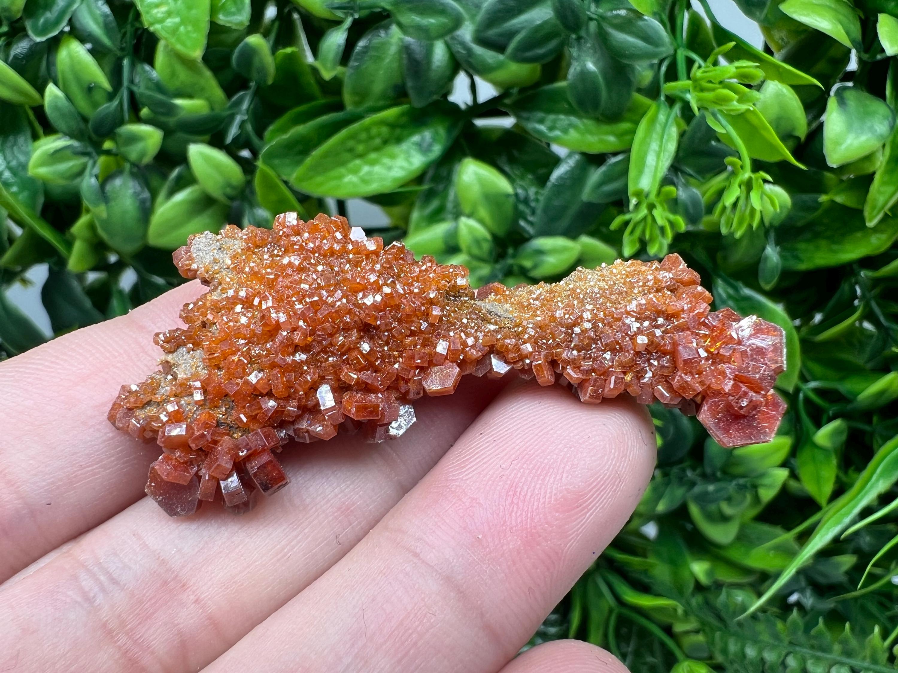 Red Vanadinite on Barite from Marocco,crystal minerals Speciment cluster Vanadinite crystal Vanadinite Geology Vanadinite cluster minerals