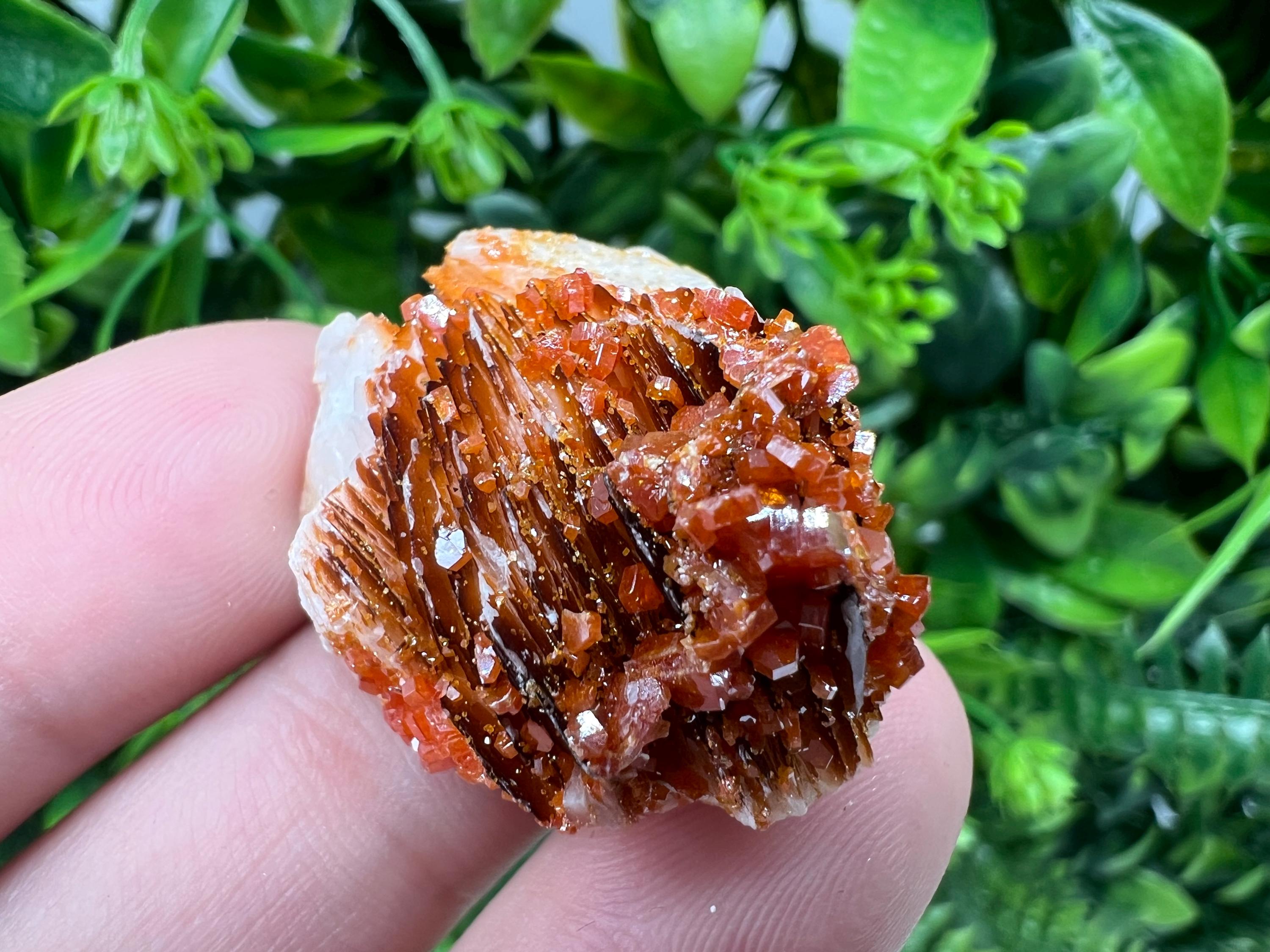 Red Vanadinite on Barite from Marocco,crystal minerals Speciment cluster Vanadinite crystal Vanadinite Geology Vanadinite cluster minerals