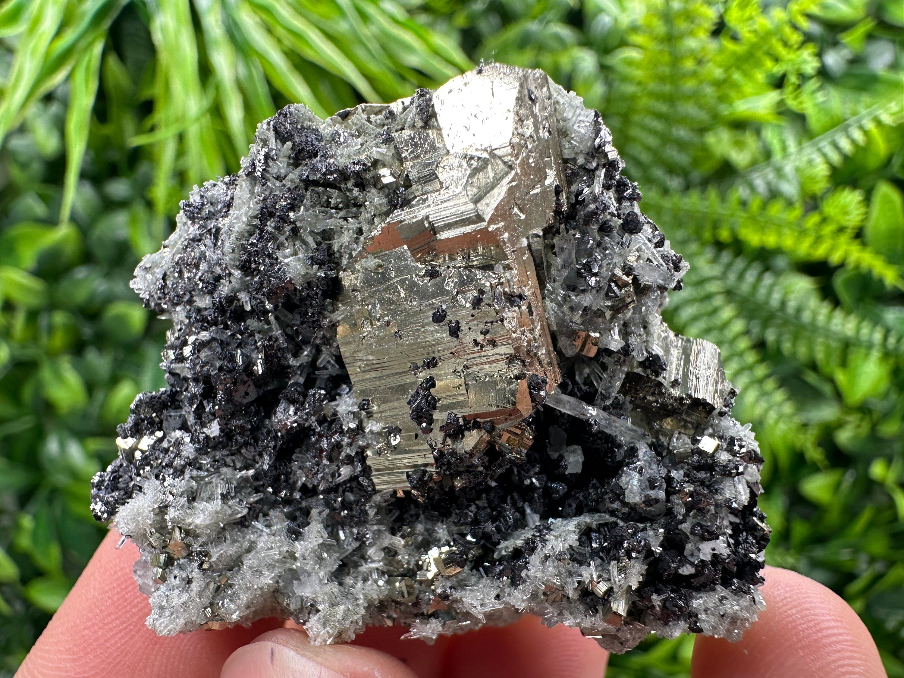 Pyrite on Quartz Needles, Borieva Mine Bulgaria