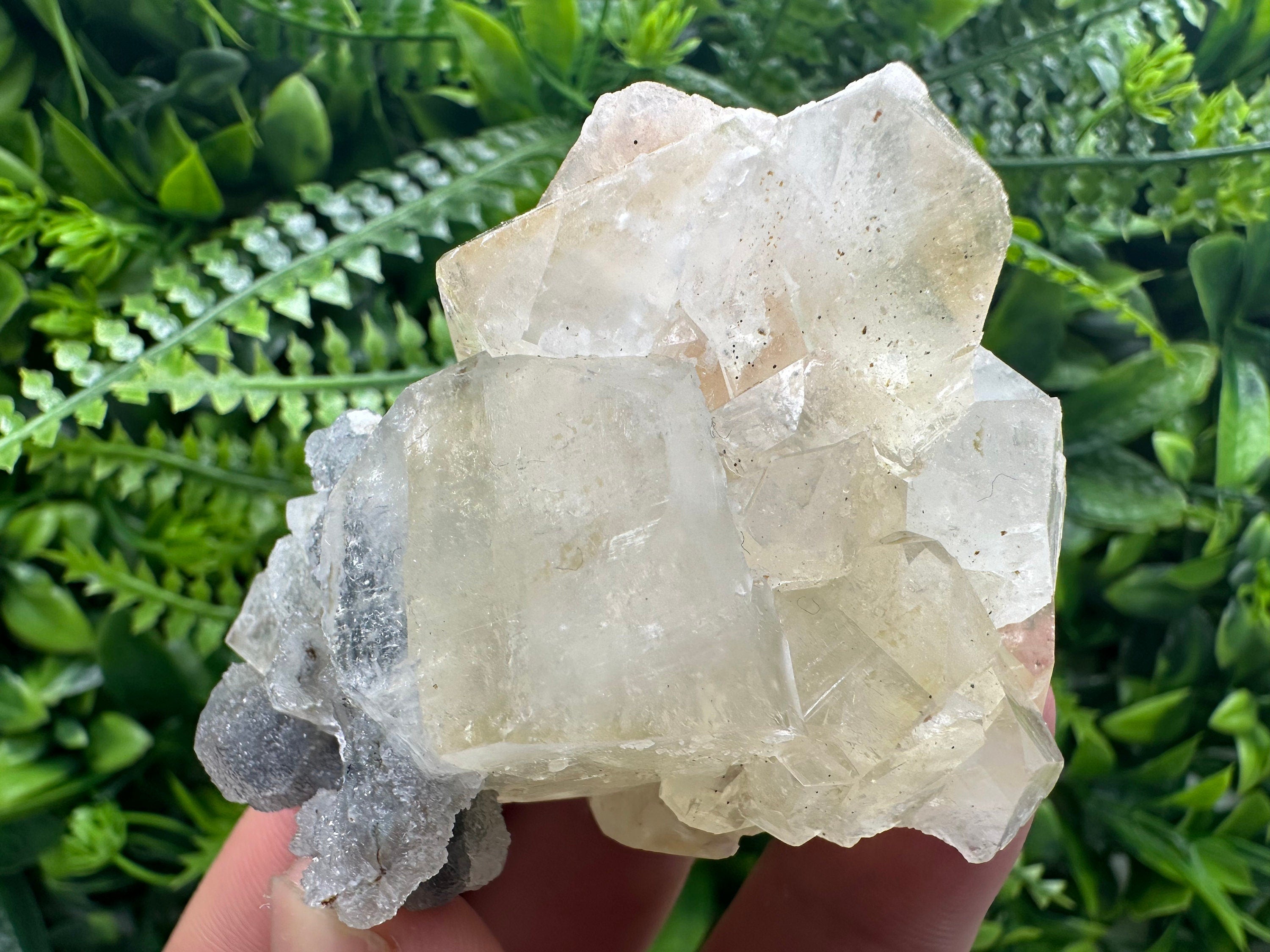 Apophyllite Stilbite on Chalcedony, India Mineral Specimen