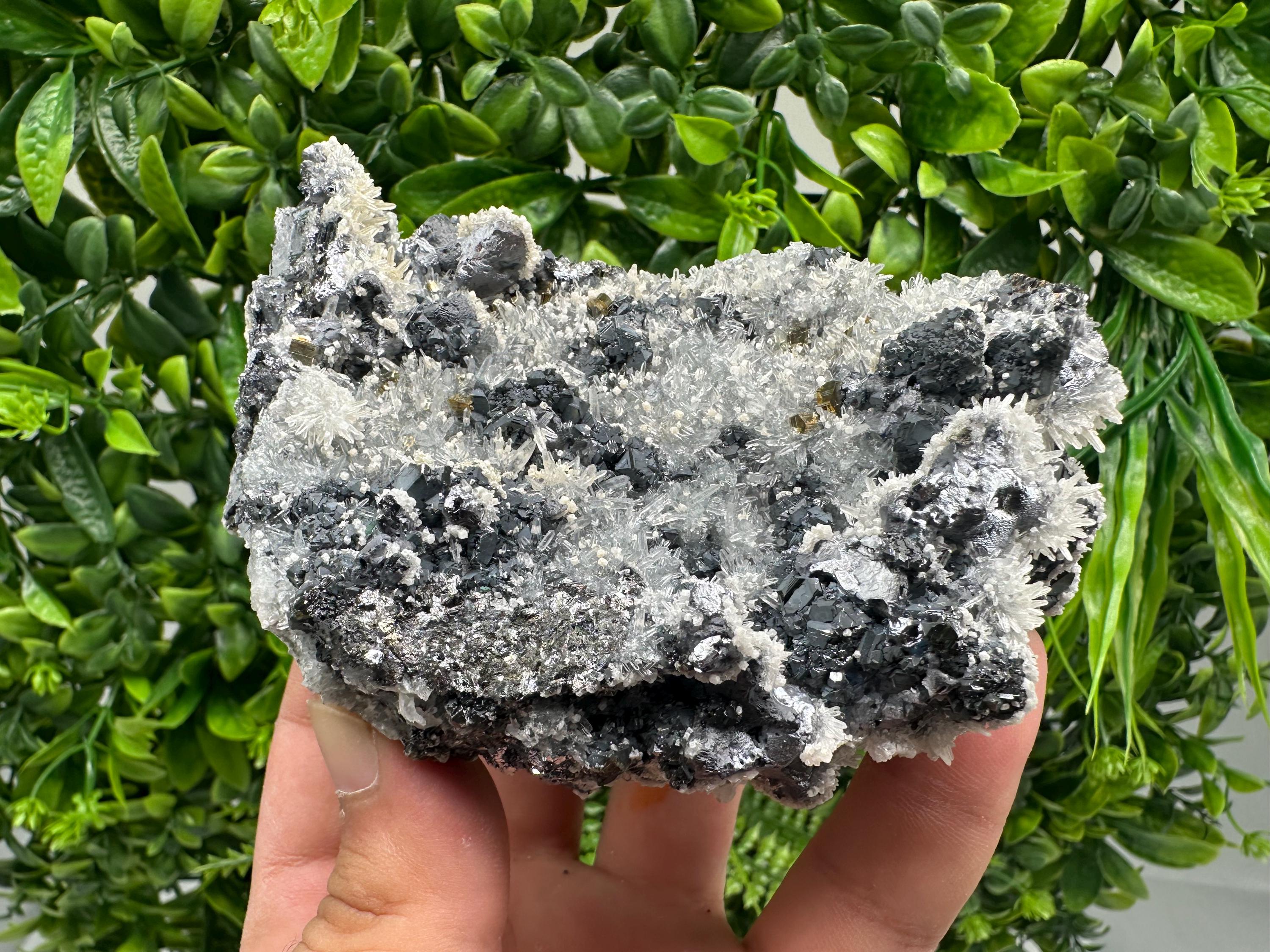Galena Quartz Pyrite Mineral Specimen: Krushev Dol Mine, Bulgaria