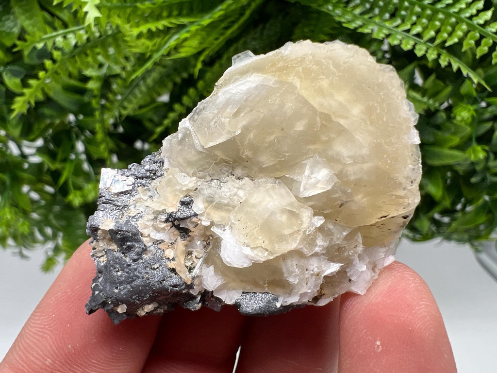 Calcite on Galena Specimen: Borieva Mine, Bulgaria