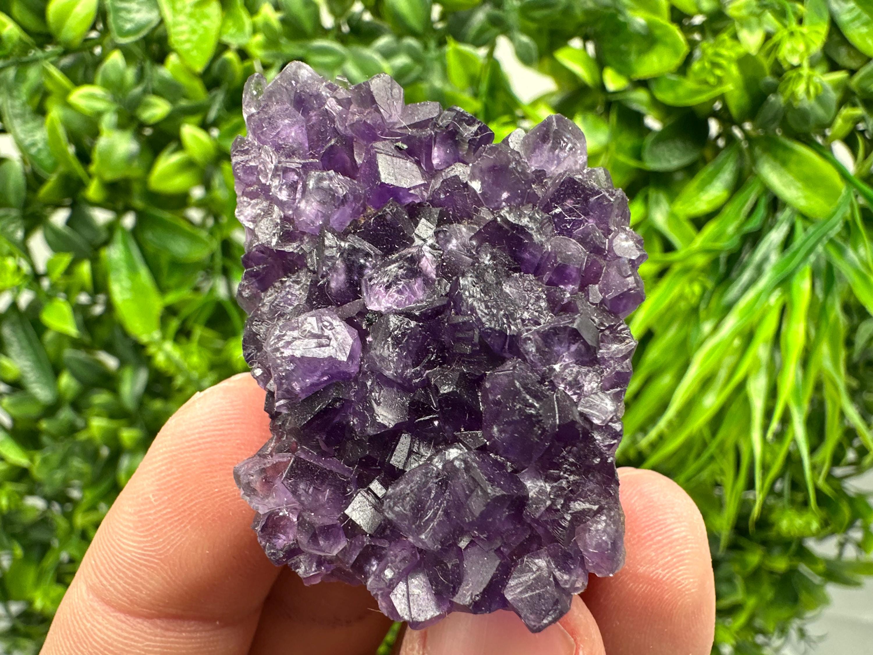 Uruguay Amethyst Cluster: Purple Quartz Crystal, Home Decor