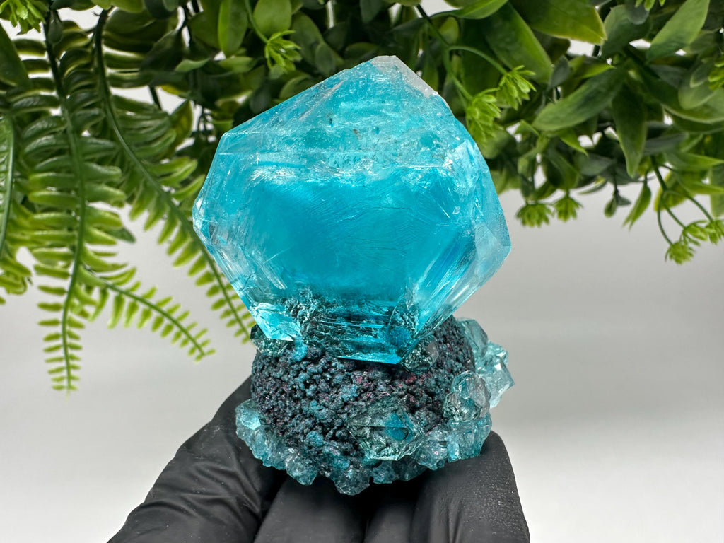 Exceptional Turquoise ALUNITE Aqua Crystal on Matrix UV Active, lab minerals