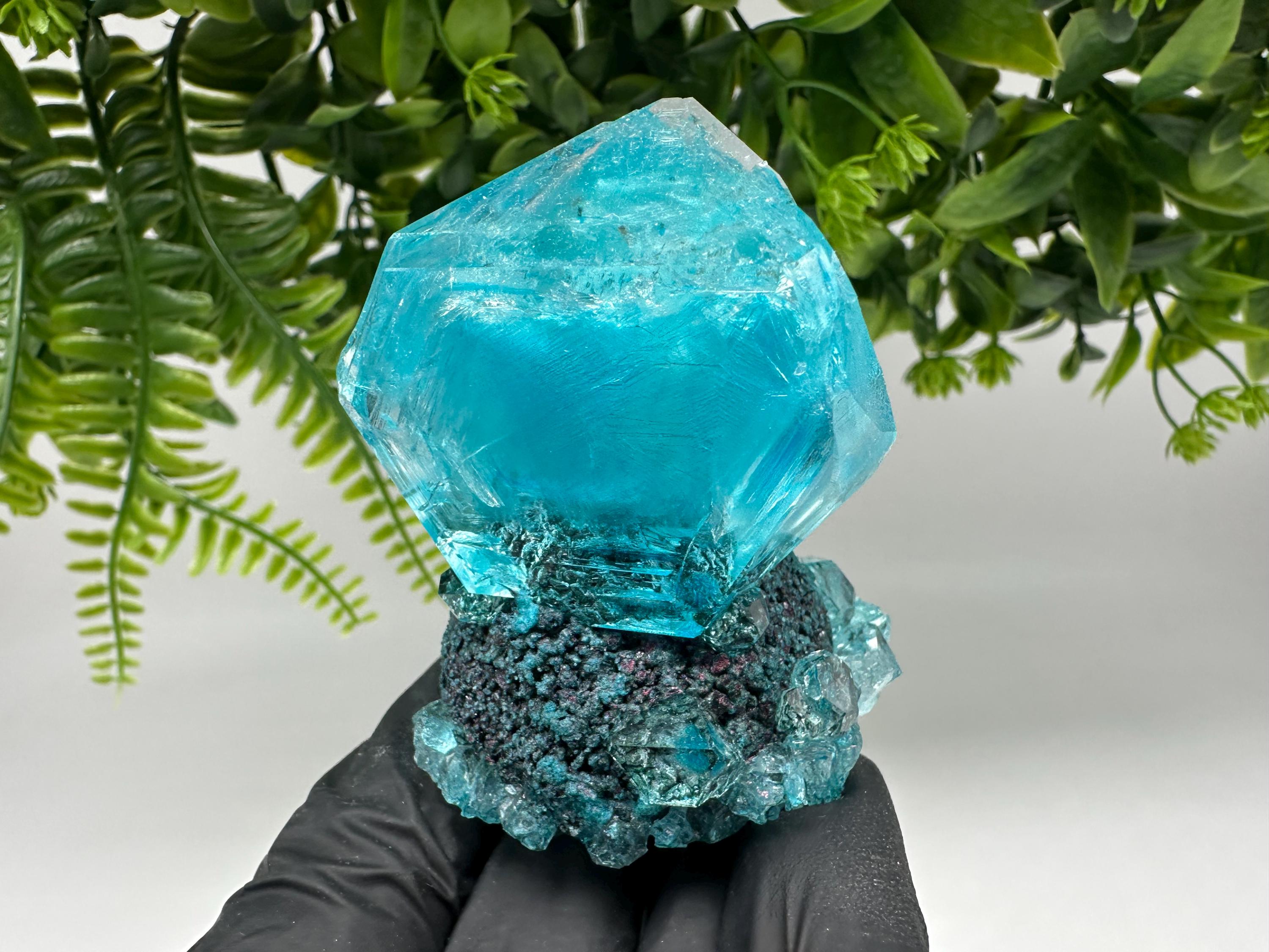 Exceptional Turquoise ALUNITE Aqua Crystal on Matrix UV Active, lab minerals