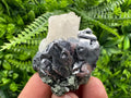 Shiny Galena with Calcite on Quartz, Chlorite Specimen