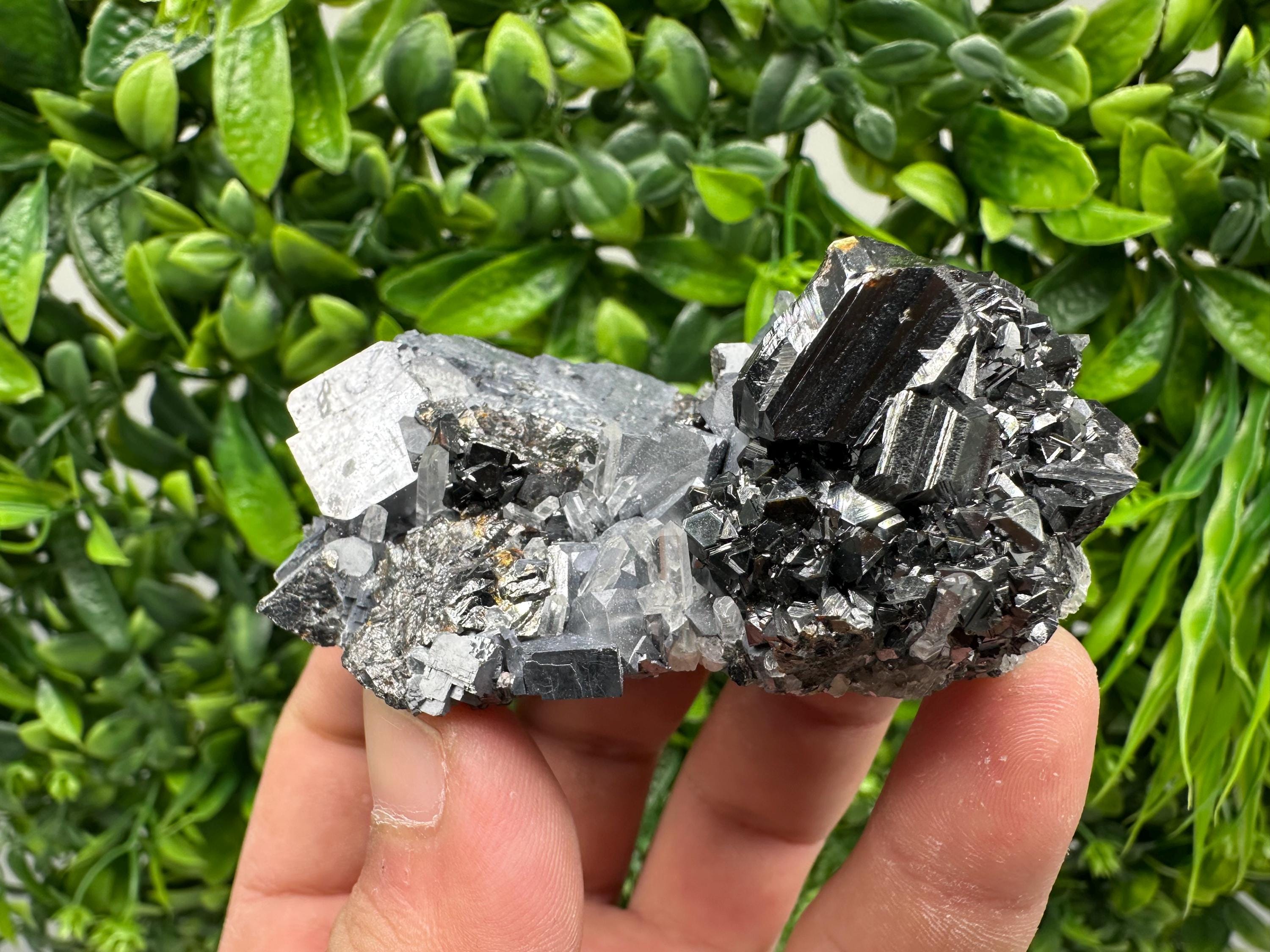 Galena on Sphalerite Mineral Specimen, Borieva Mine Bulgaria