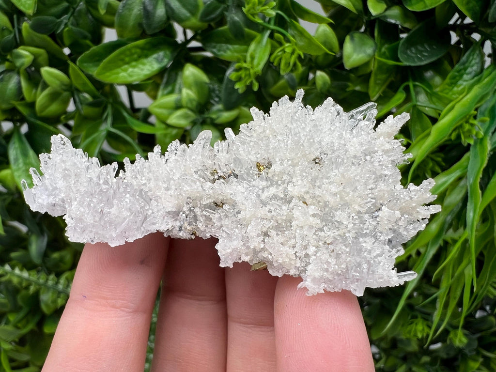 Wonderful Transparent Quartz on Chlorite Matrix,From Borieva mine,Madan,Bulgaria,Quartz,Quartz crystal,mineral specimen,collection quartz