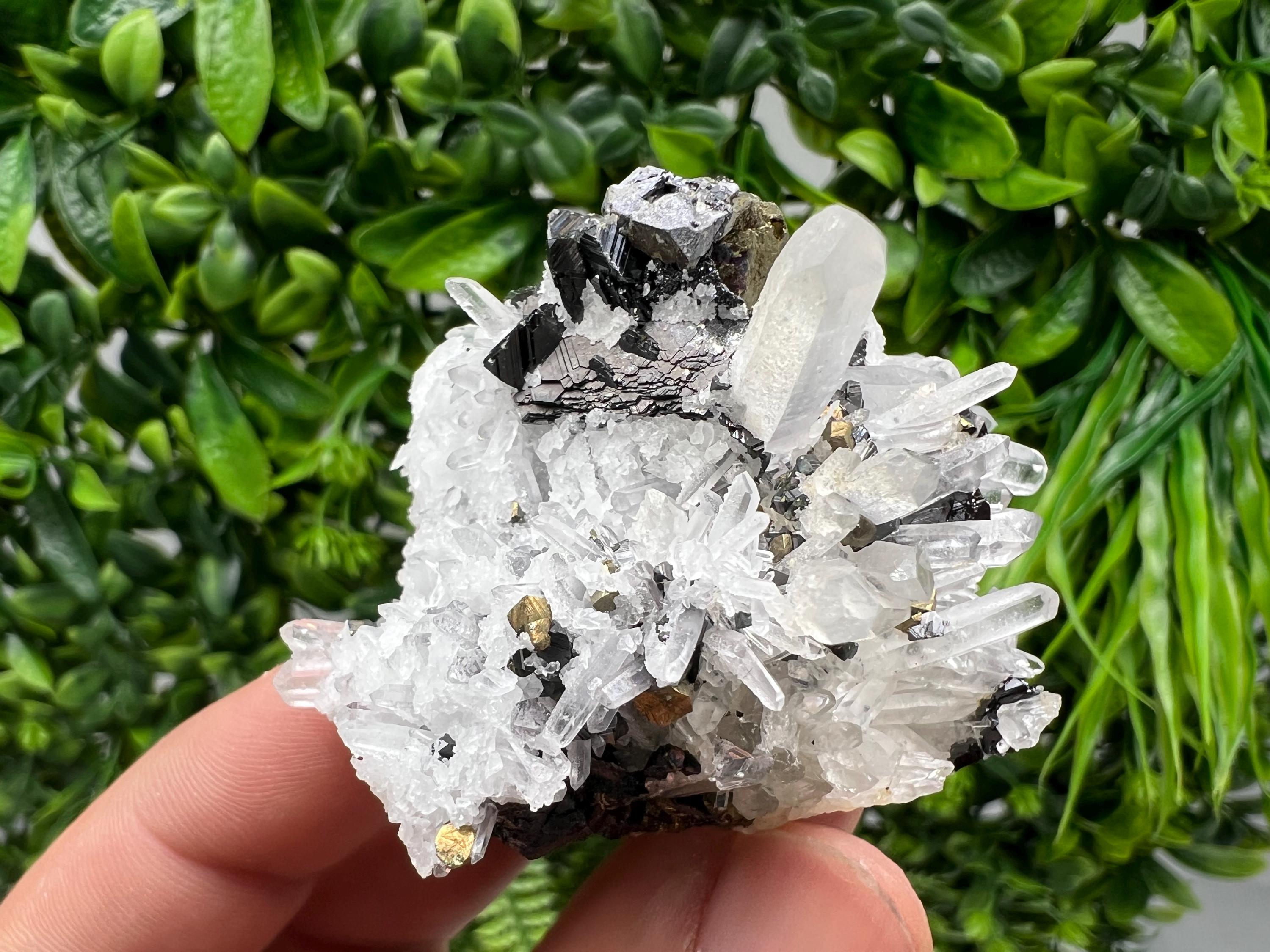 Wonderful Sphalerite Chalcopyrite on Green Quartz whit Hematite feom 9 th September mine,Bulgaria,natural,collection mineral specimen,gift