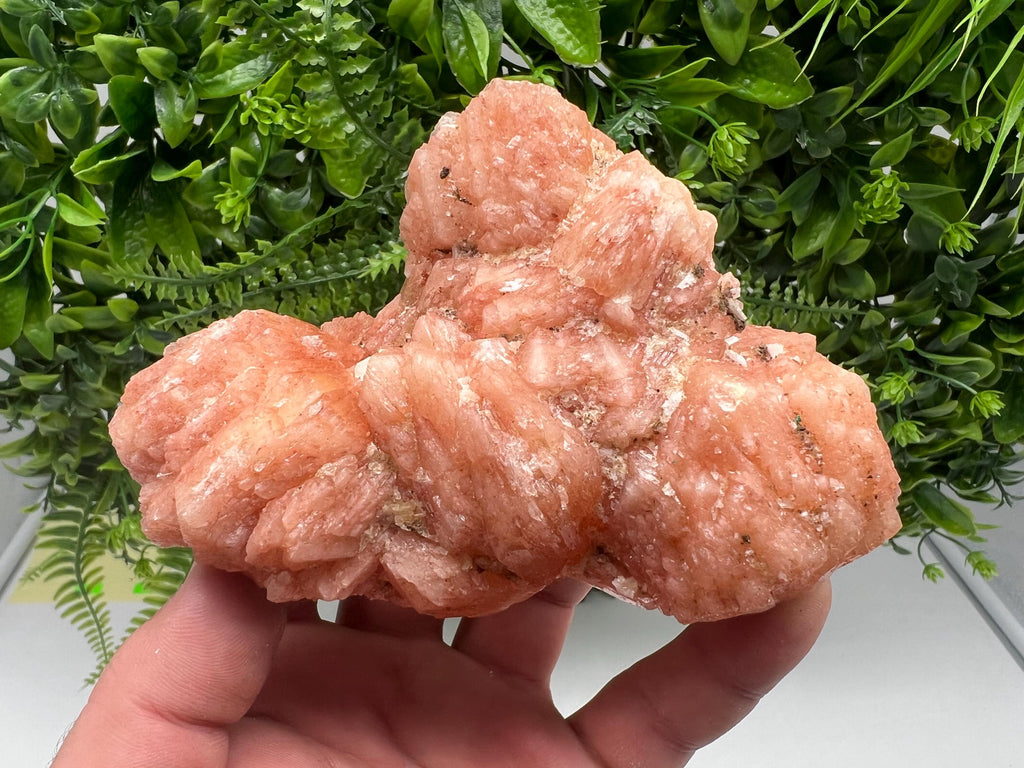 Apophyllite Stilbite Chalcedony Specimen, India Crystal