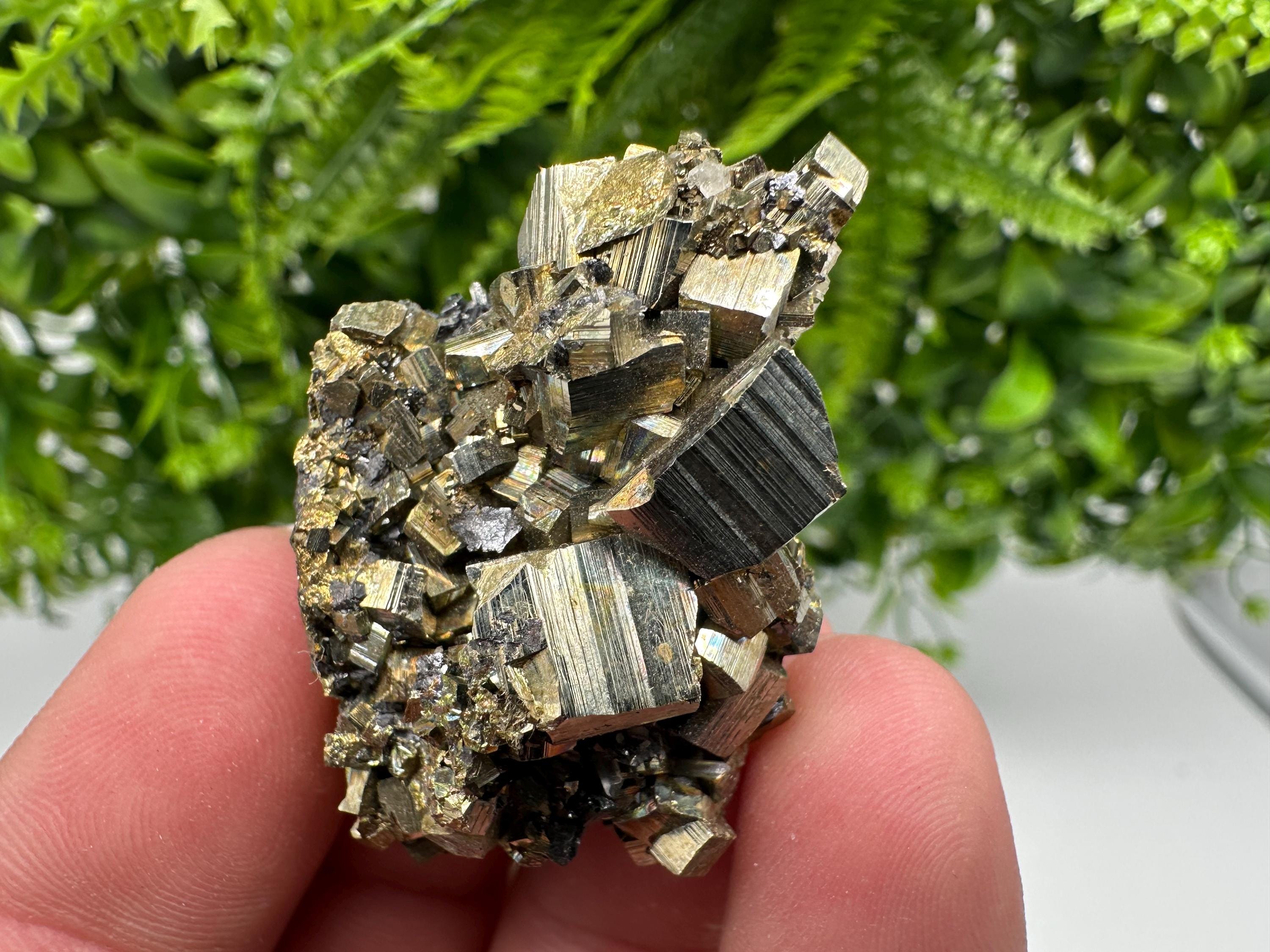Rare Crystallized Pyrite Cluster - Borieva Mine, Bulgaria