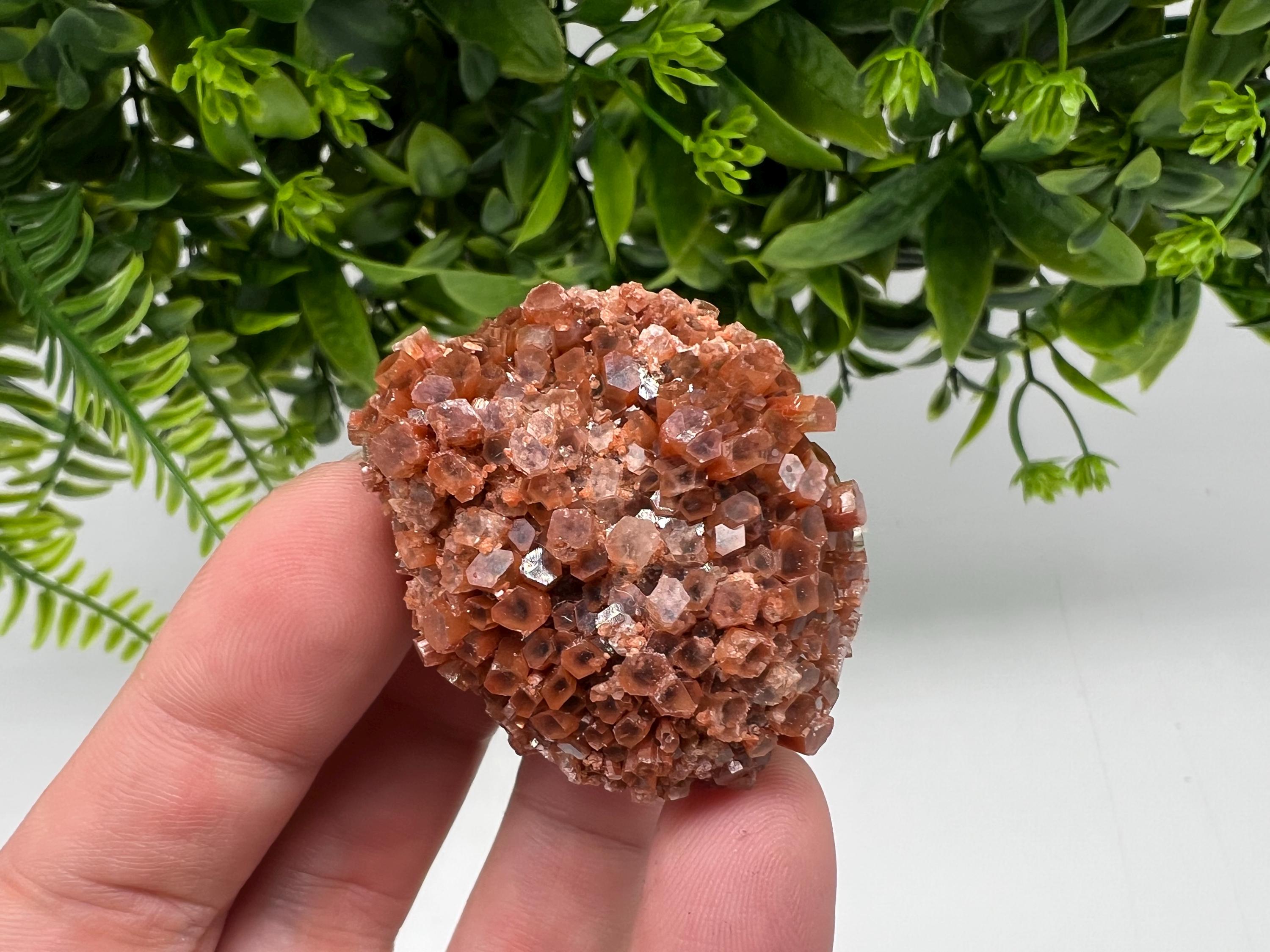 Extra Large Aragonite Sputnik Cluster: Raw Moroccan Crystal Decor