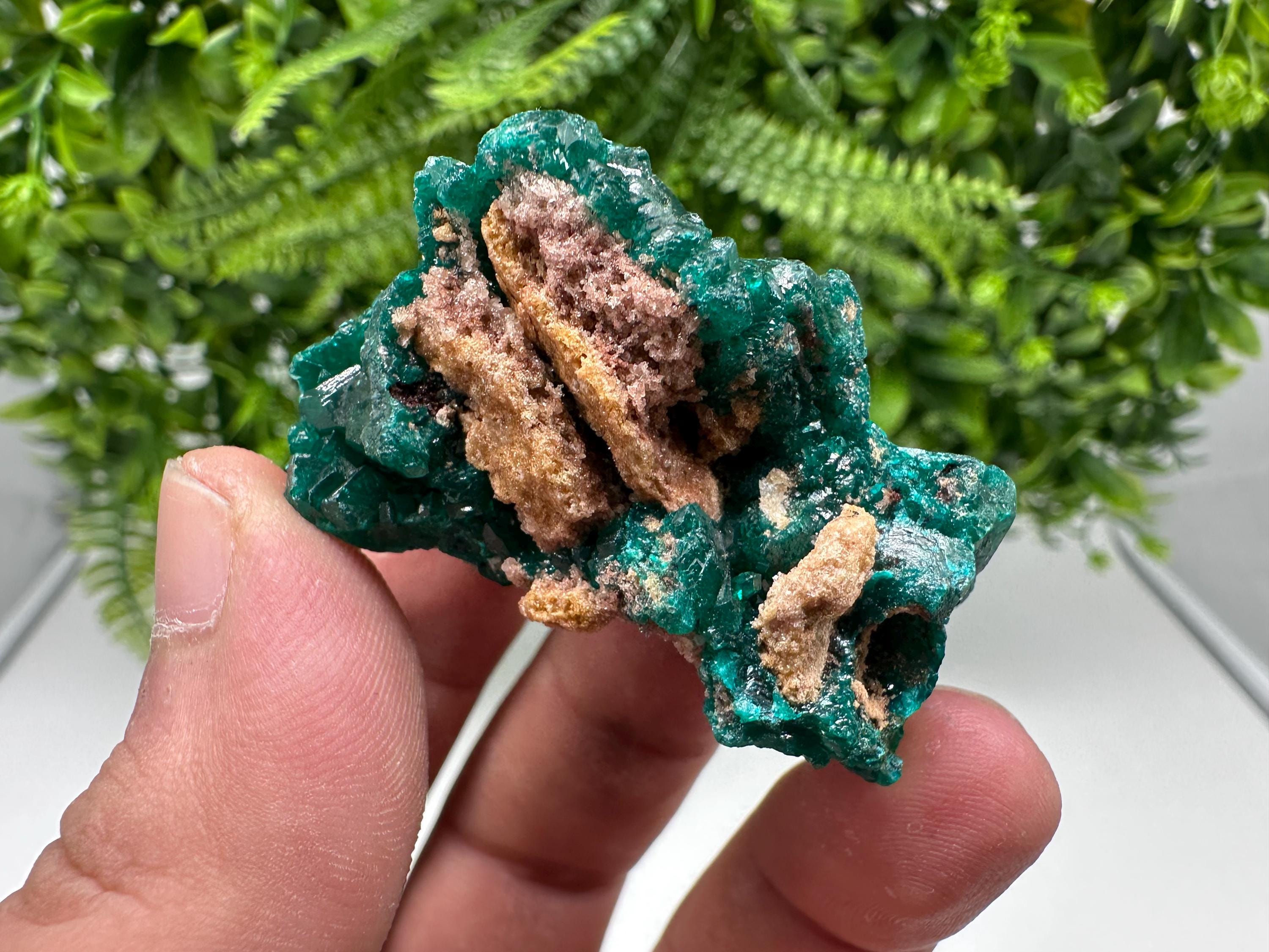 Stunning Green Dioptase from Sanda Hills,Mindouli,Pool Department,Mindouli District,Congo,green Dioptase,Dioptas Crystal,Dioptase collecting
