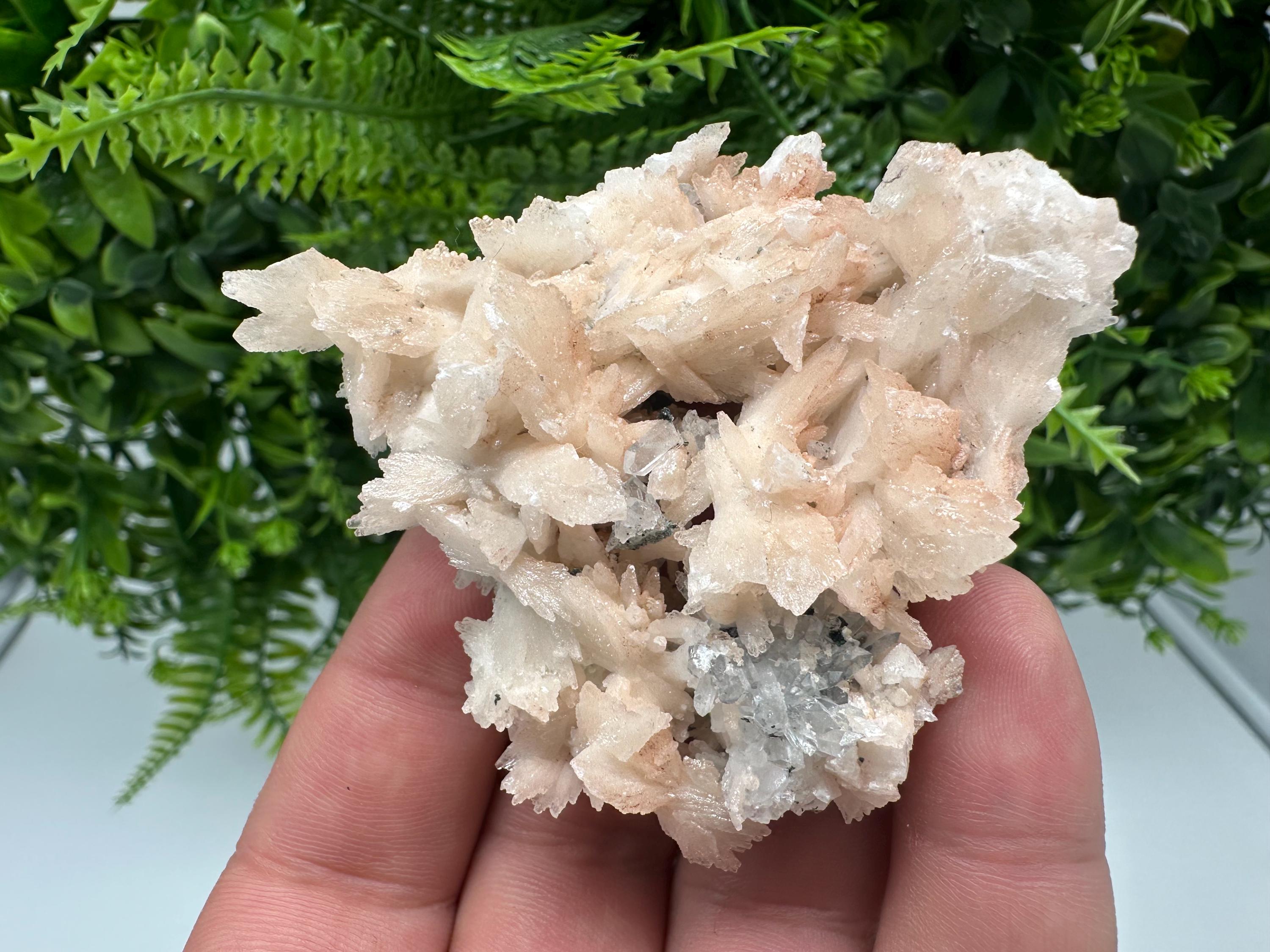 Calcite on Green Quartz: Djurcovo Mine, Bulgaria Crystal