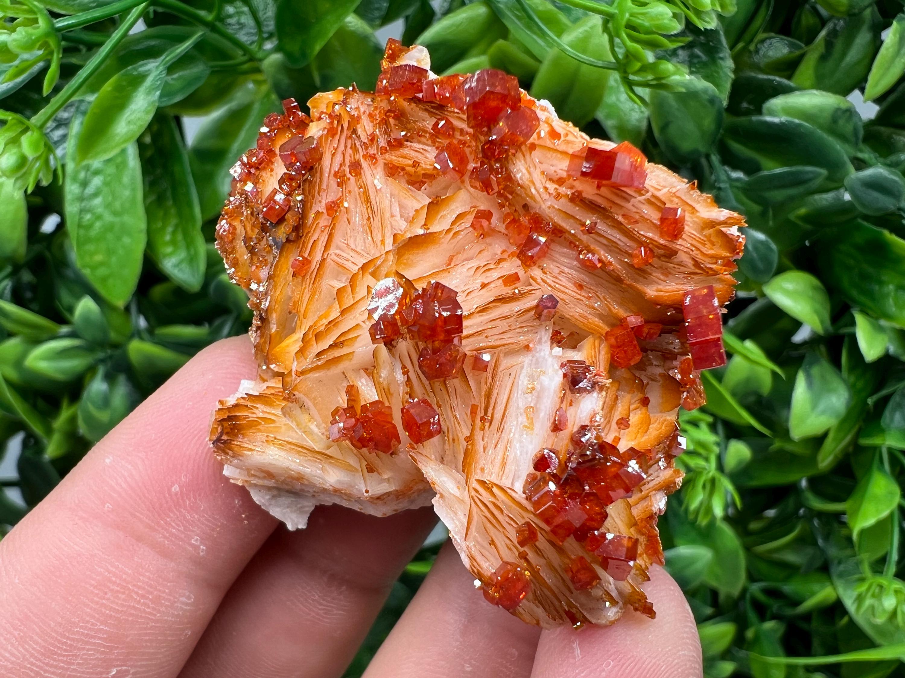 Red Vanadinite on Barite from Marocco,crystal minerals Speciment cluster Vanadinite crystal Vanadinite Geology Vanadinite cluster minerals
