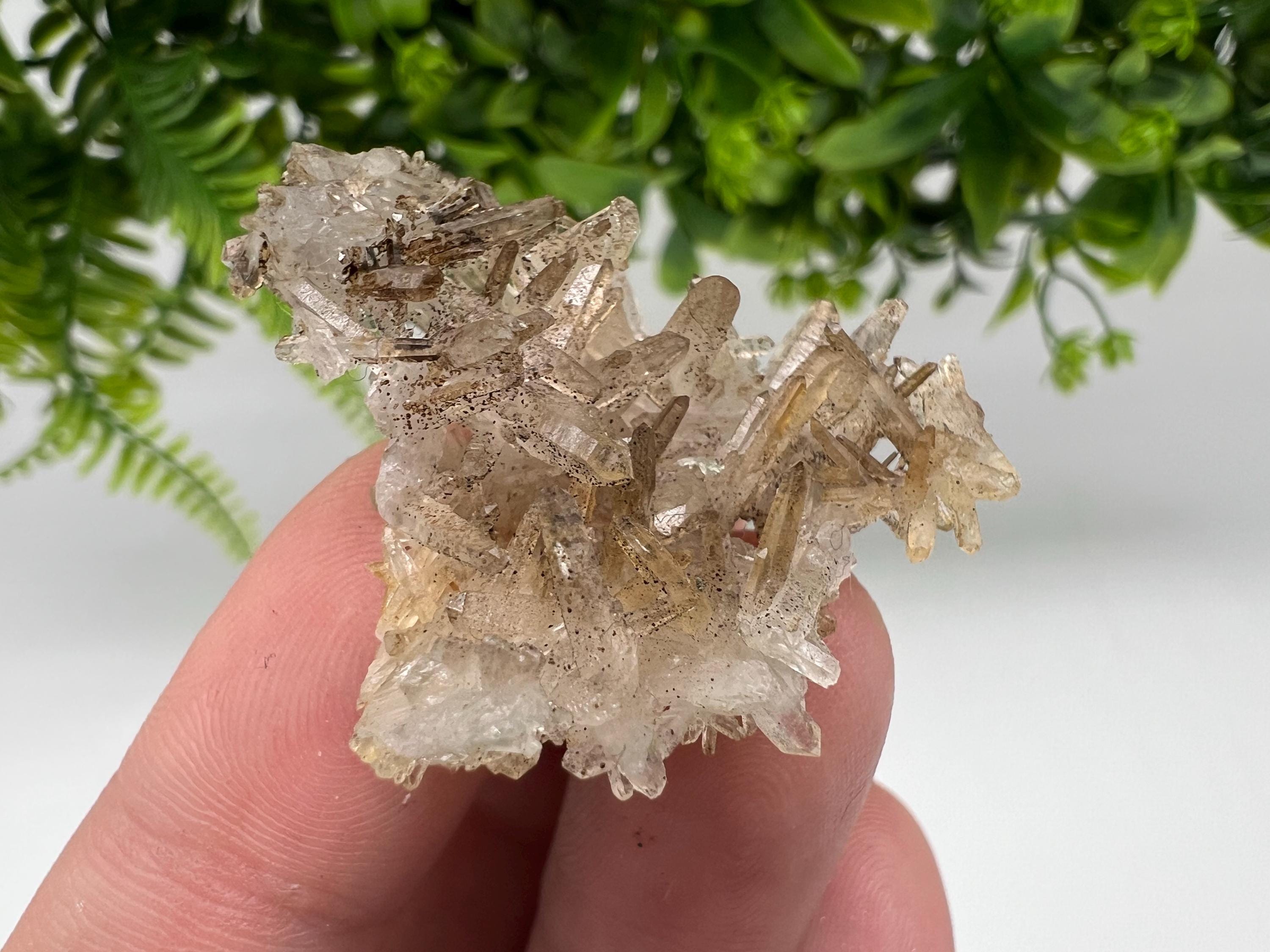 Bulgarian Quartz Mineral Specimen: Iron Oxide Limonite, 9th September Mine