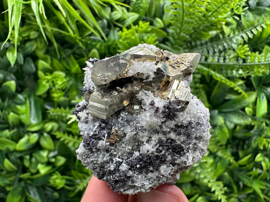 Sphalerite Pyrite on Quartz with Chlorite, Borieva Mine Mineral Specimen