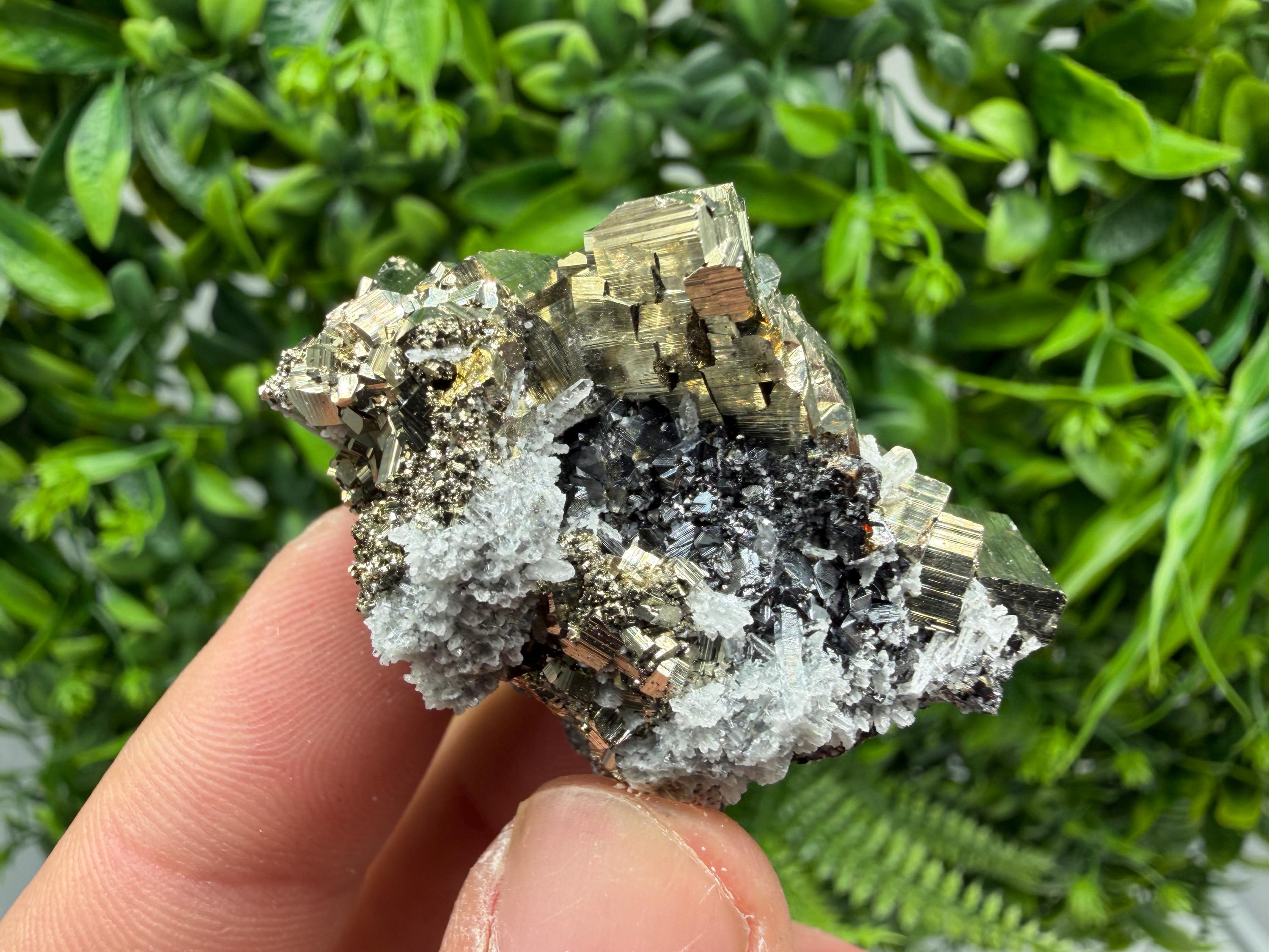 Pyrite Sphalerite Quartz  Mineral Specimen, Krushev dol Mine