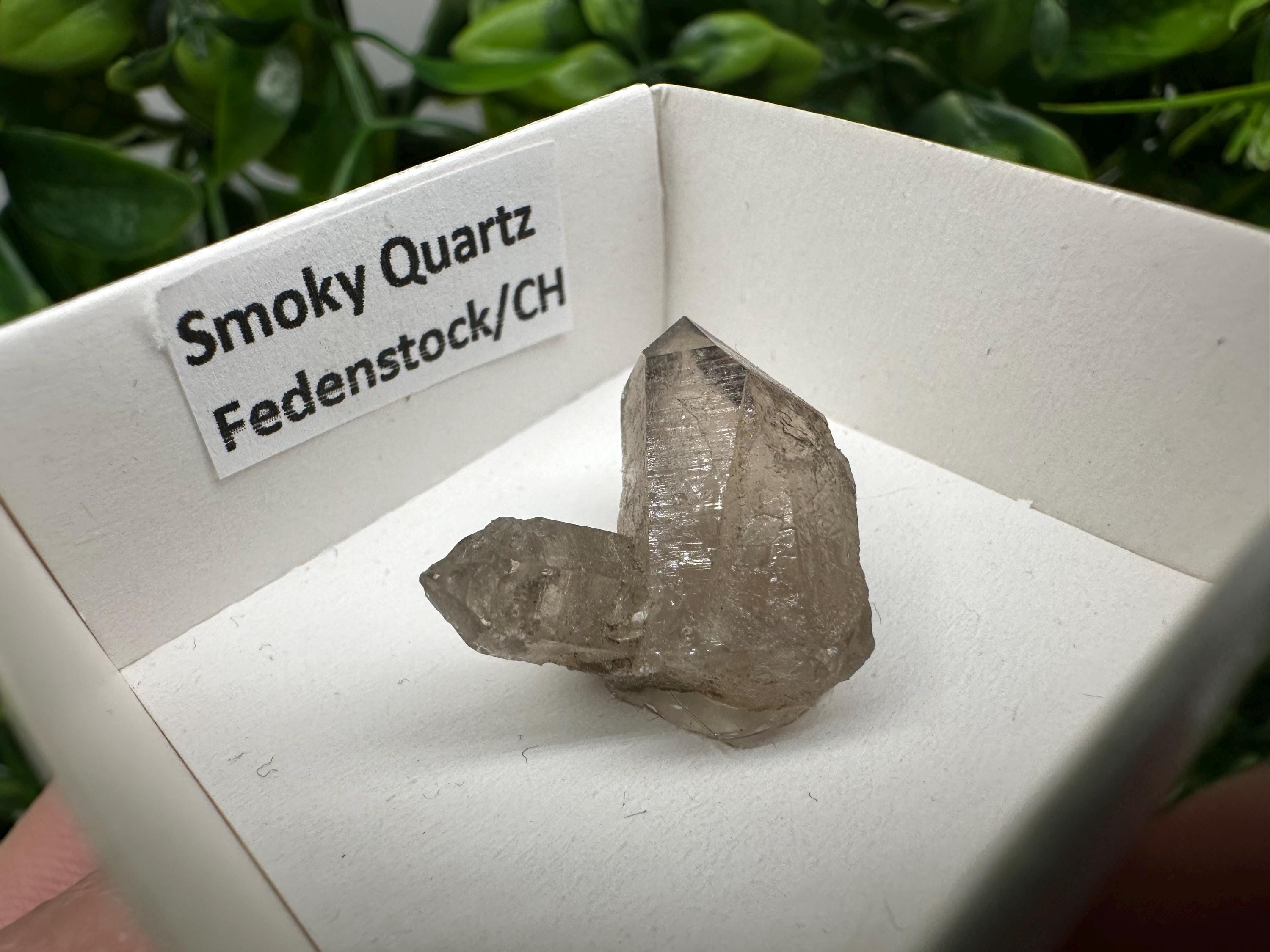Rare Smoky Quartz Point, Fedenstock Switzerland Mineral Specimen