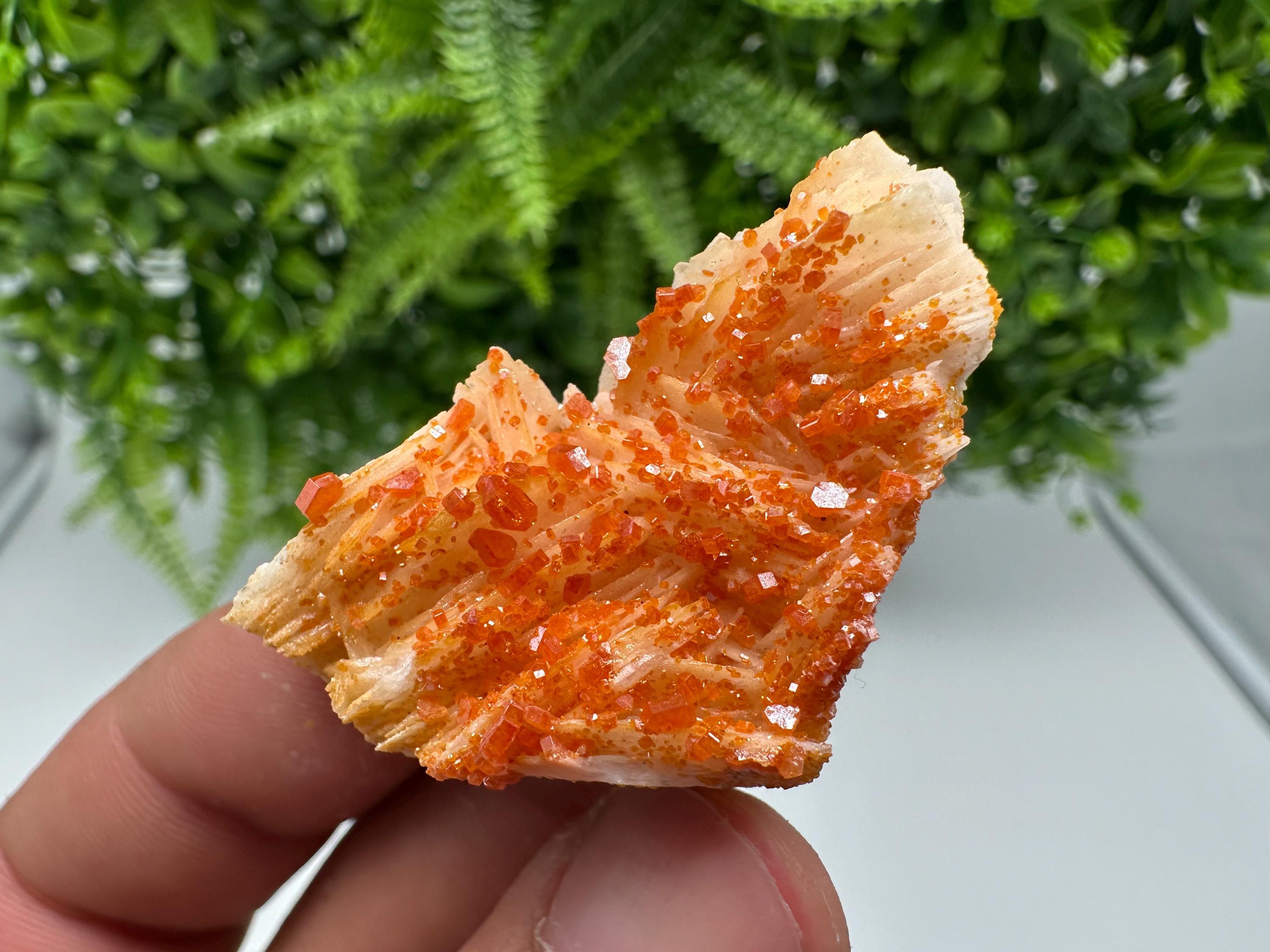 Red Vanadinite on Barite from Marocco,crystal minerals Speciment cluster Vanadinite crystal Vanadinite Geology Vanadinite cluster minerals