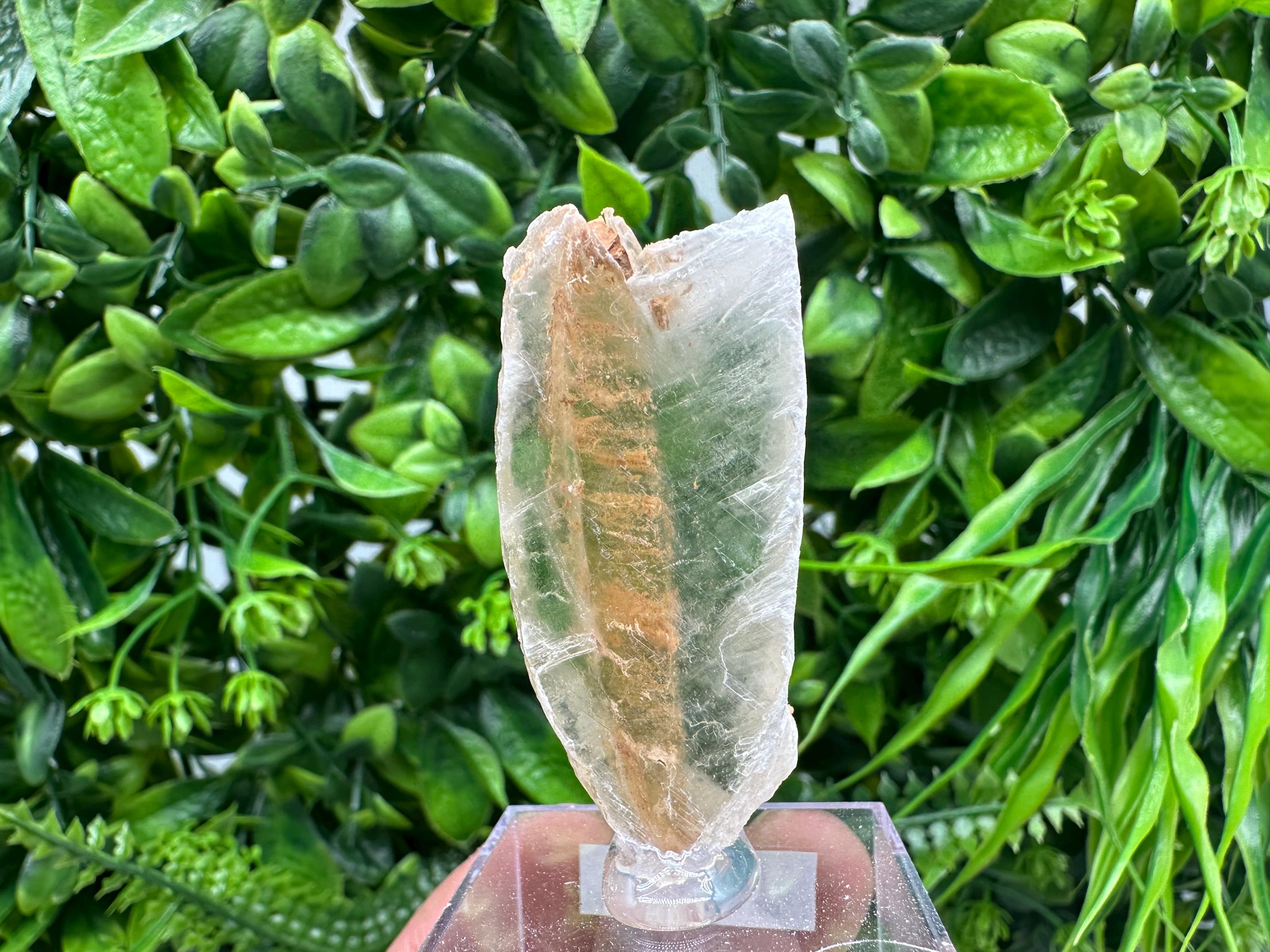 Raw Utah Golden Phantom Selenite Slab: Fishtail Selenite Wand