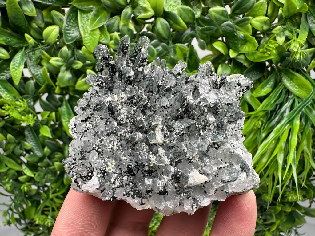 Chlorite Quartz Mineral Specimen, Borieva Mine, Bulgaria