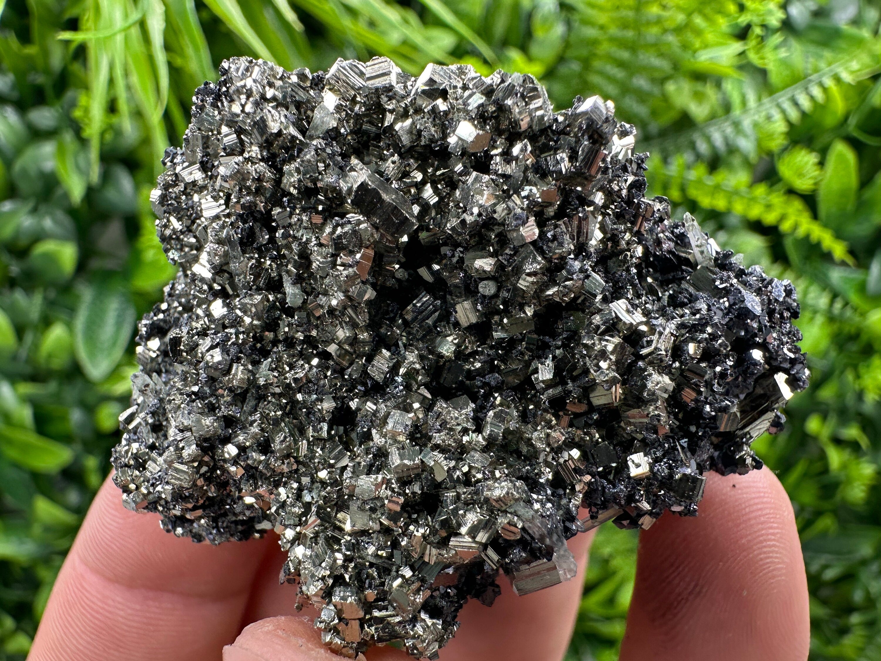Pyrite on Quartz Needles, Borieva Mine Bulgaria, Mineral Specimen