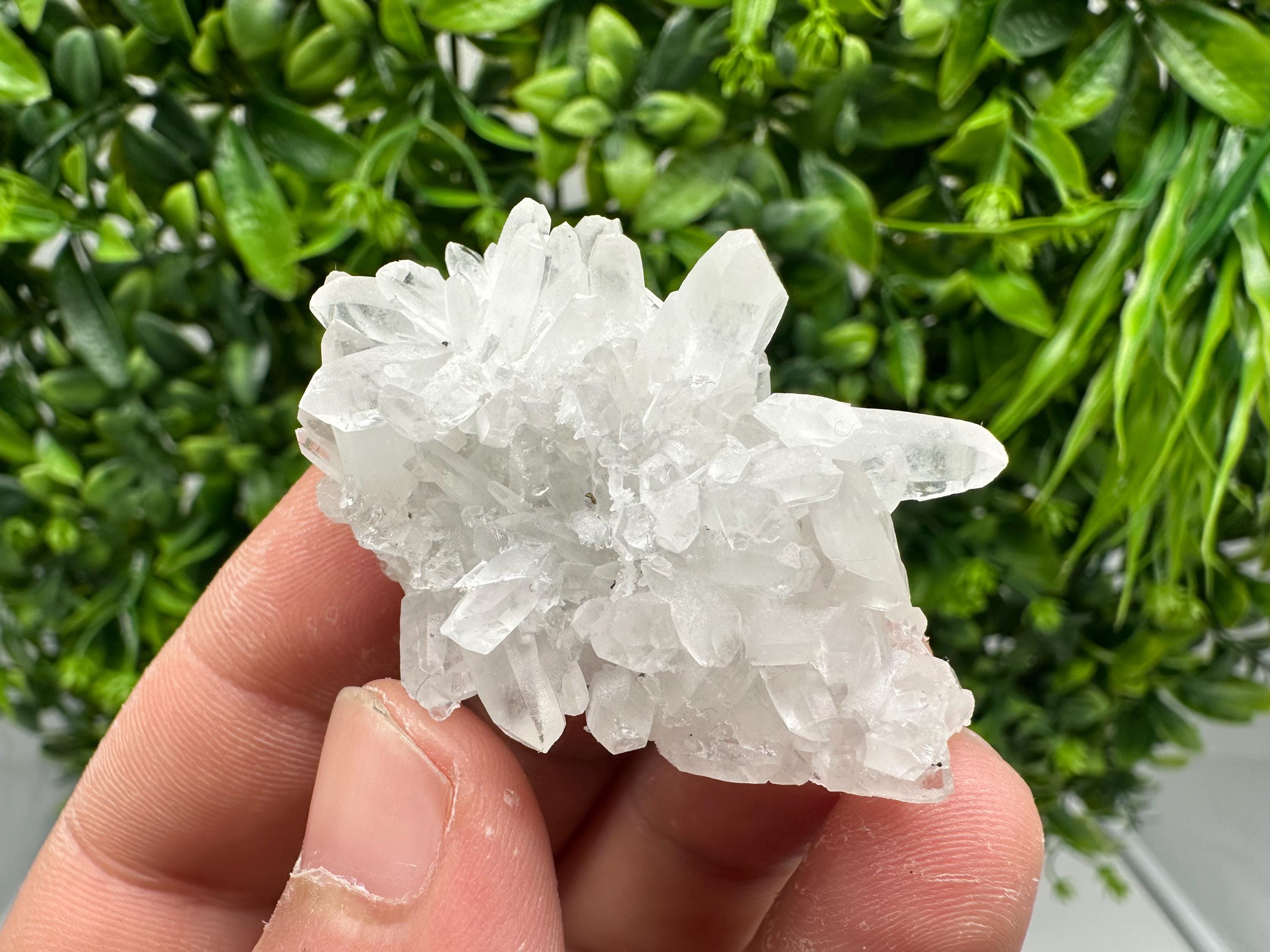 Wonderful Transparent Quartz on Chlorite Matrix,From Borieva mine,Madan,Bulgaria,Quartz,Quartz crystal,mineral specimen,collection quartz