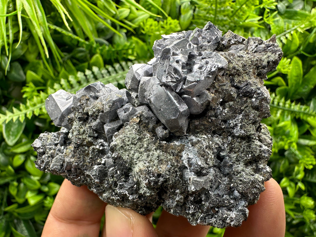 Galena Cluster on Matrix: Natural Mineral Specimen, Bulgaria