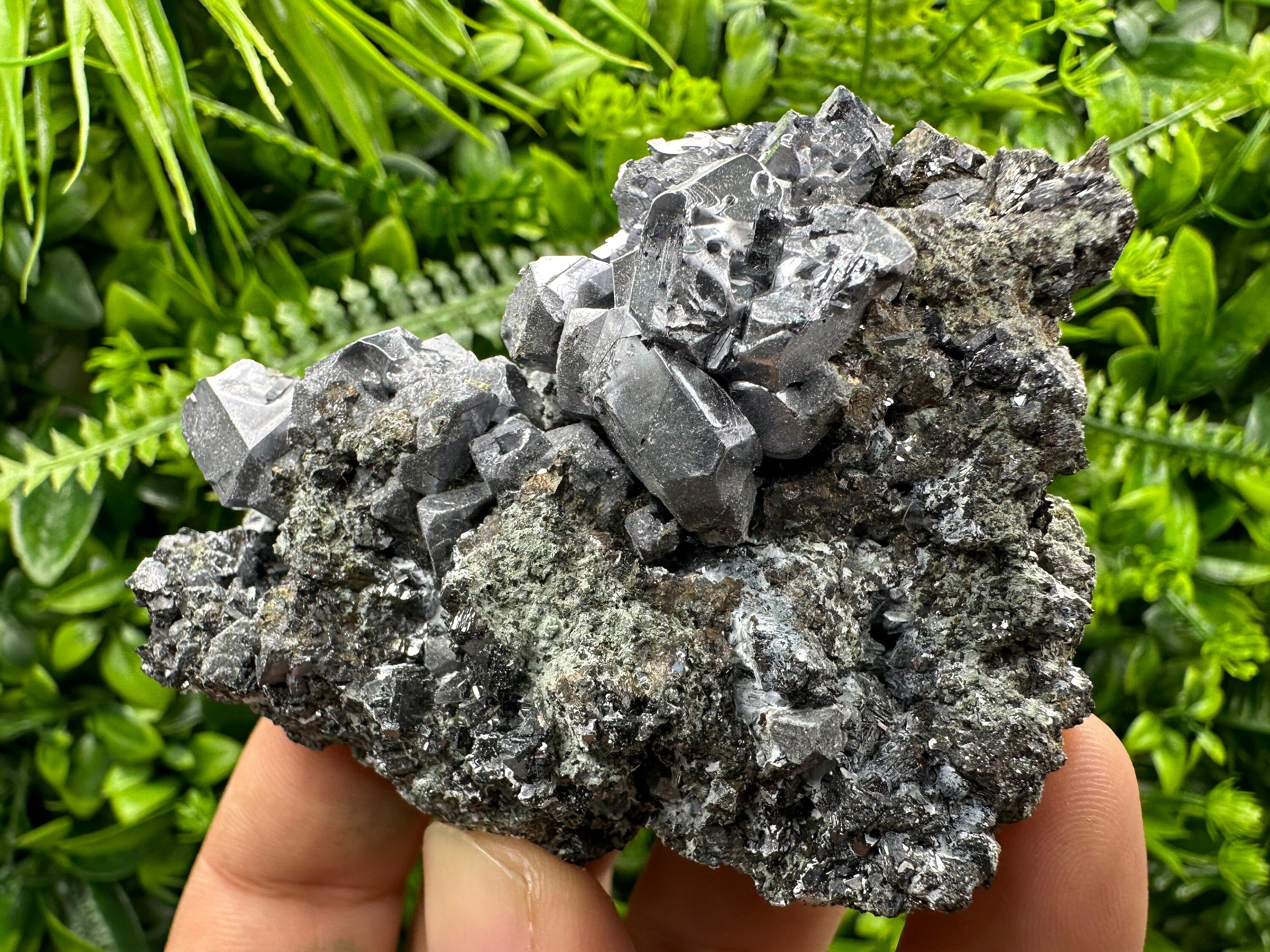 Galena Cluster on Matrix: Natural Mineral Specimen, Bulgaria