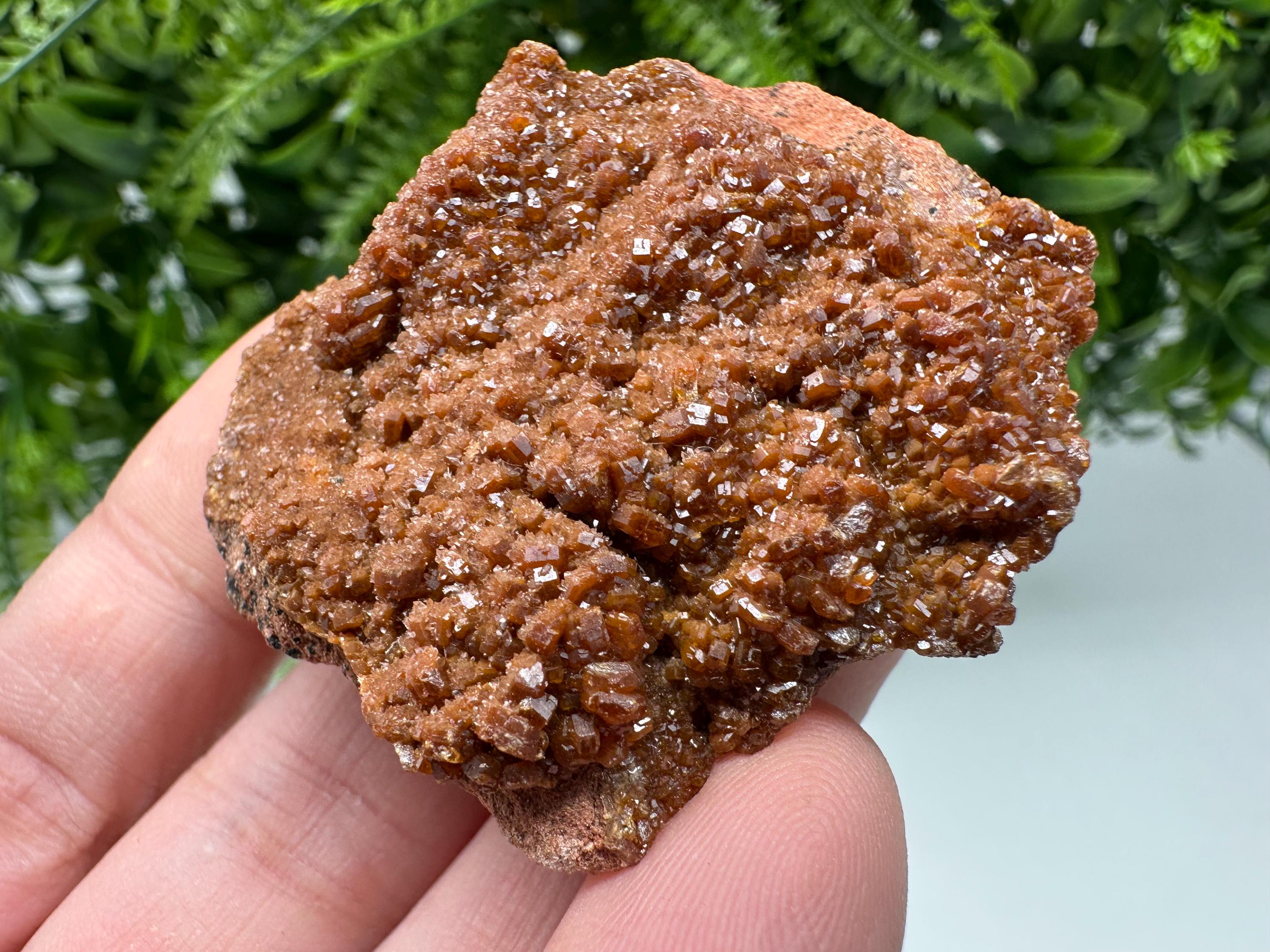 Red Vanadinite on Matrix from Marocco,crystal minerals Speciment cluster Vanadinite crystal Vanadinite Geology Vanadinite cluster minerals