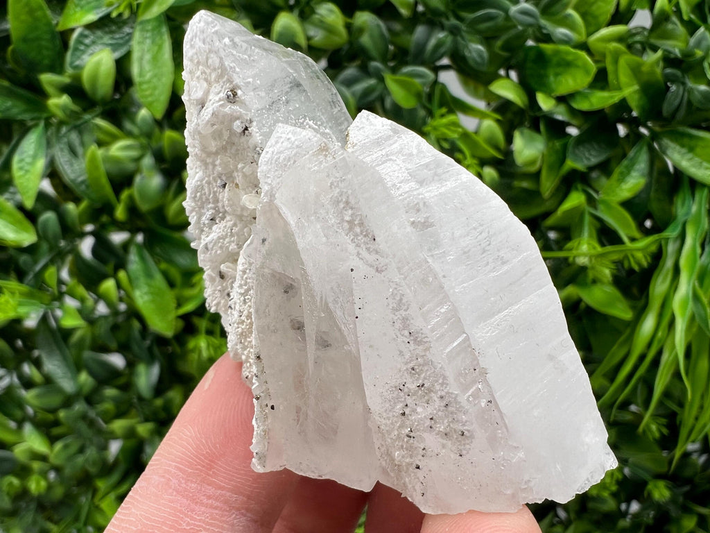 Quartz with Pyrite Mineral Specimen: Krushev dol, Bulgaria