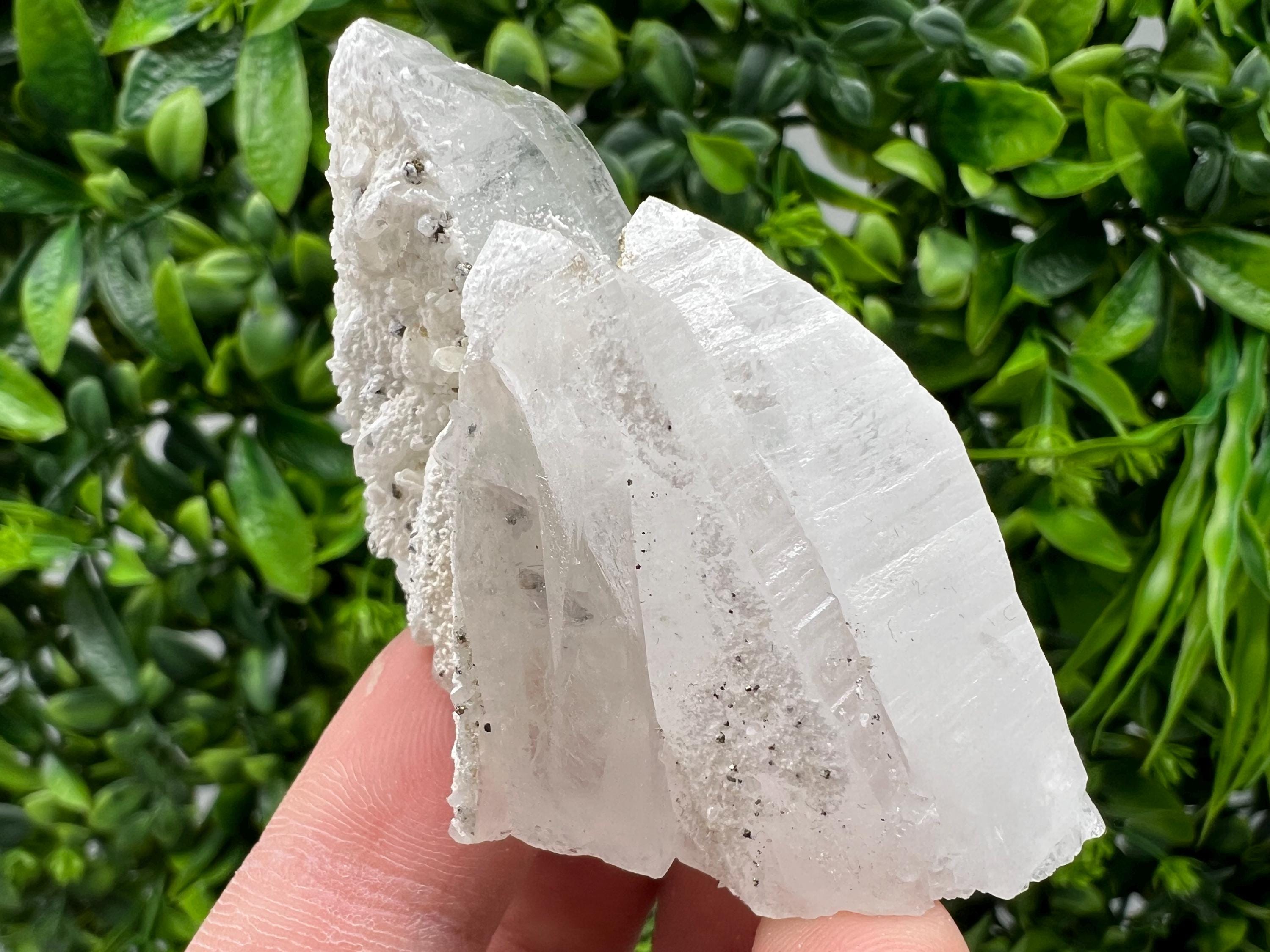 Quartz with Pyrite Mineral Specimen: Krushev dol, Bulgaria