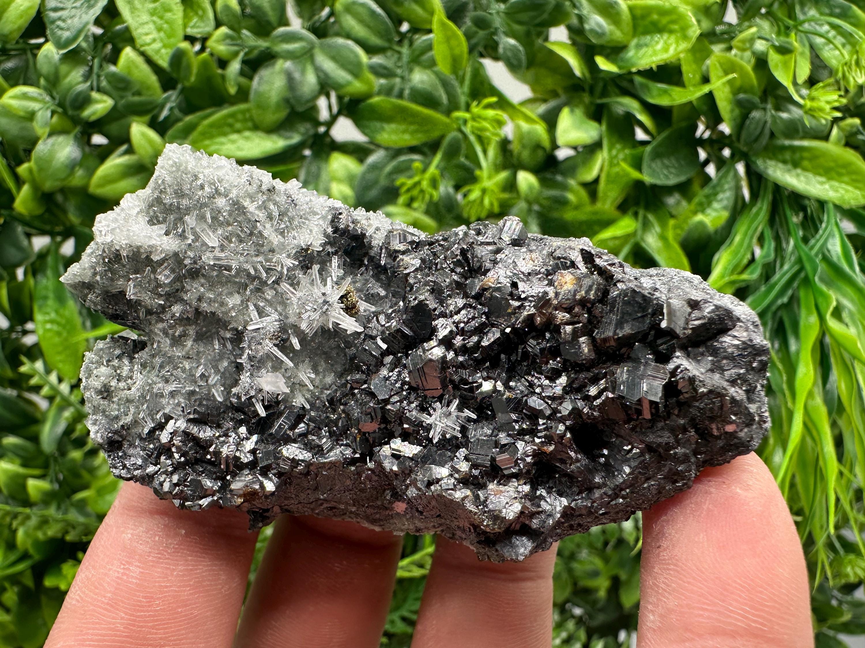 Sphalerite on Green Quartz, Madan Bulgaria Mineral Specimen