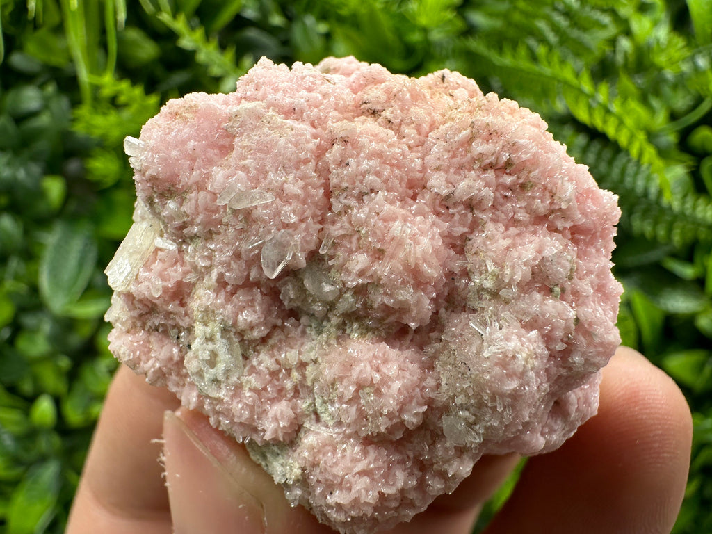 Pink Rhodochrosite Crystal: Starnica Mine, Bulgaria - Home Decor Stone