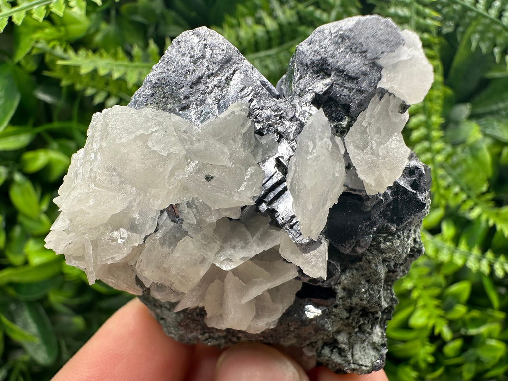 Galena on Sphalerite & Calcite: Natural Mineral Souvenir from Borieva Mine, Bulgaria