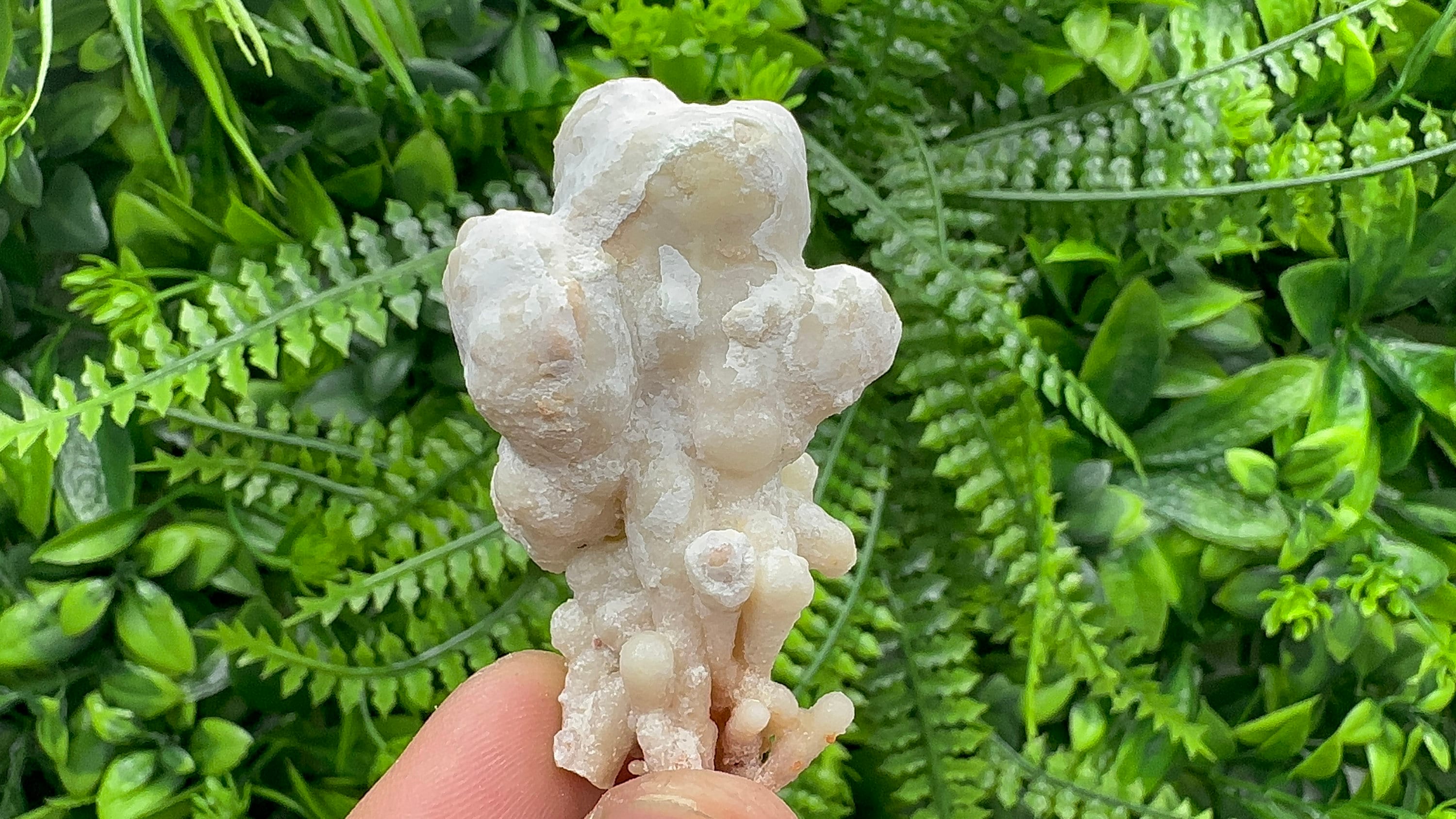 Aragonite Cluster, Bulgaria Mineral Specimen, Home Decor Stone (3/6/2.5cm)