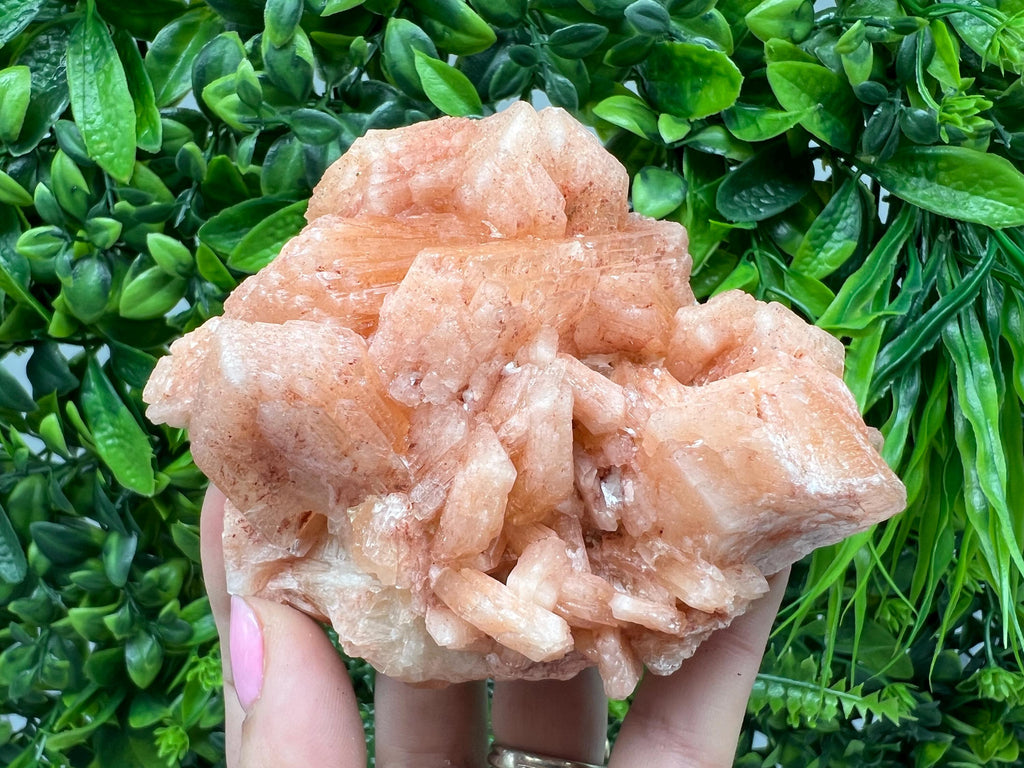 Apophyllite Stilbite Chalcedony Specimen: India Minerals Crystal Collection