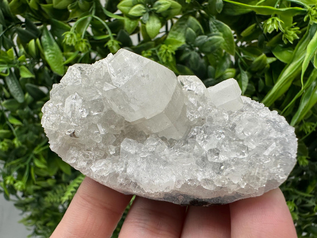 Apophyllite on Chalcedony Specimen: Transparent Crystal, India Minerals