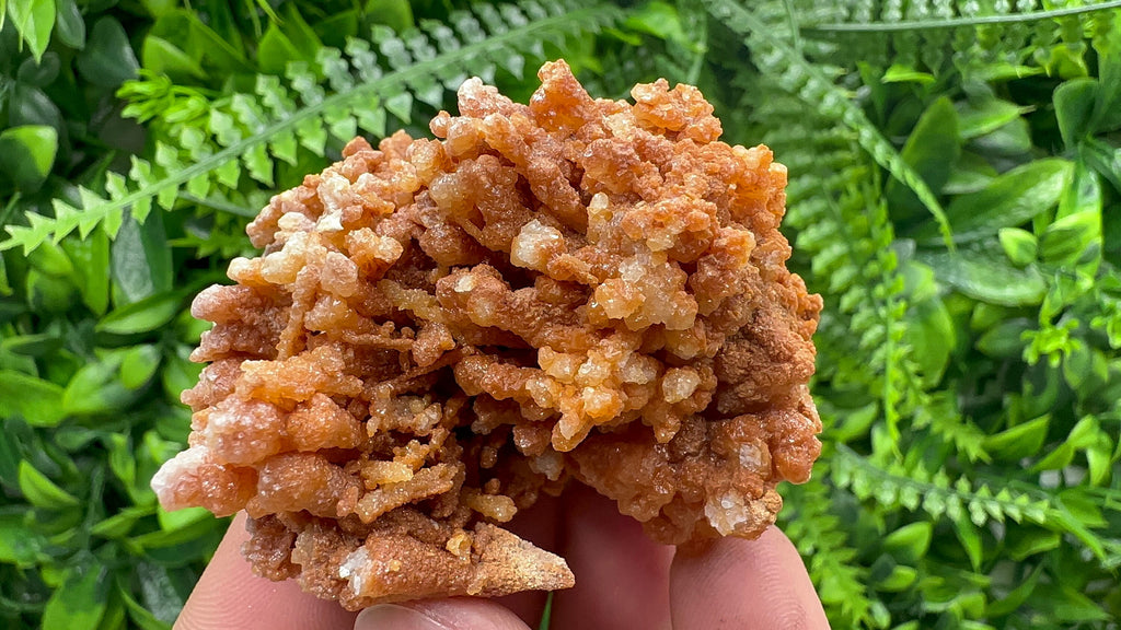 Dimitrovgrad Aragonite Cluster, Bulgaria Mineral Specimen