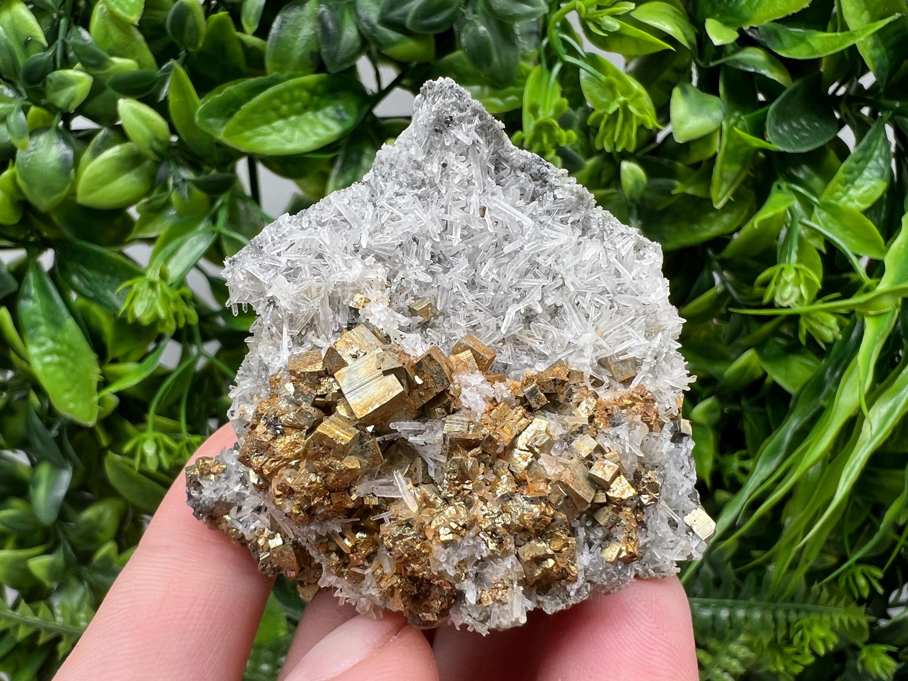 Pyrite on Green Quartz Mineral Specimen, Borieva Bulgaria