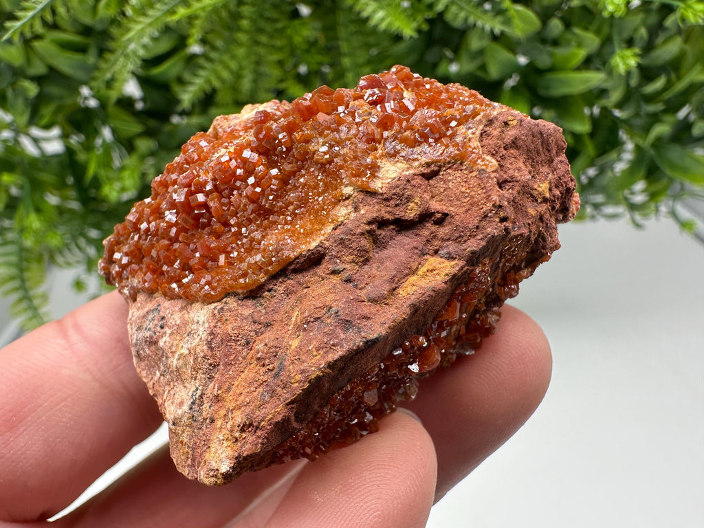 Red Vanadinite on Matrix from Marocco,crystal minerals Speciment cluster Vanadinite crystal Vanadinite Geology Vanadinite cluster minerals