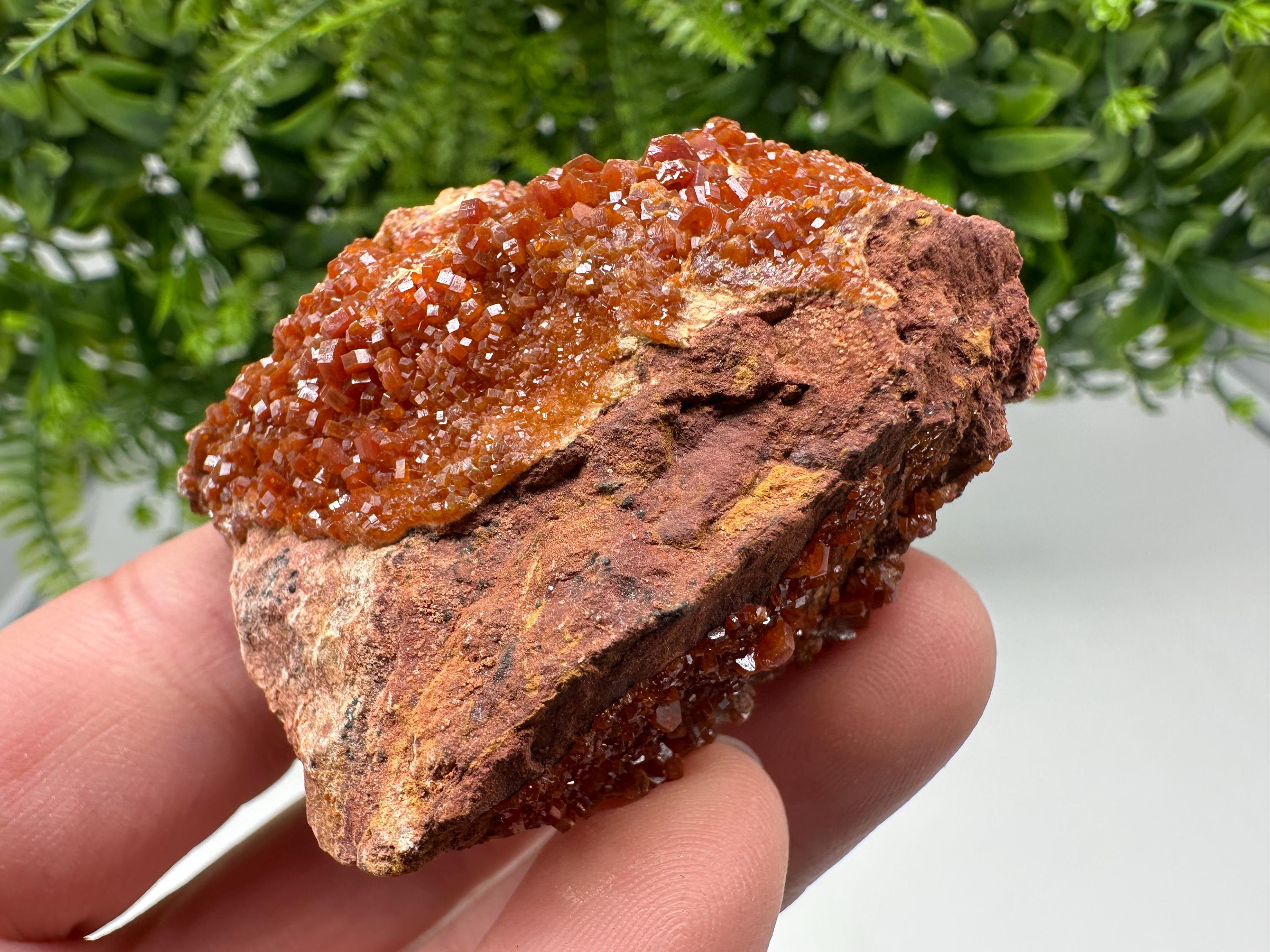 Red Vanadinite on Matrix from Marocco,crystal minerals Speciment cluster Vanadinite crystal Vanadinite Geology Vanadinite cluster minerals