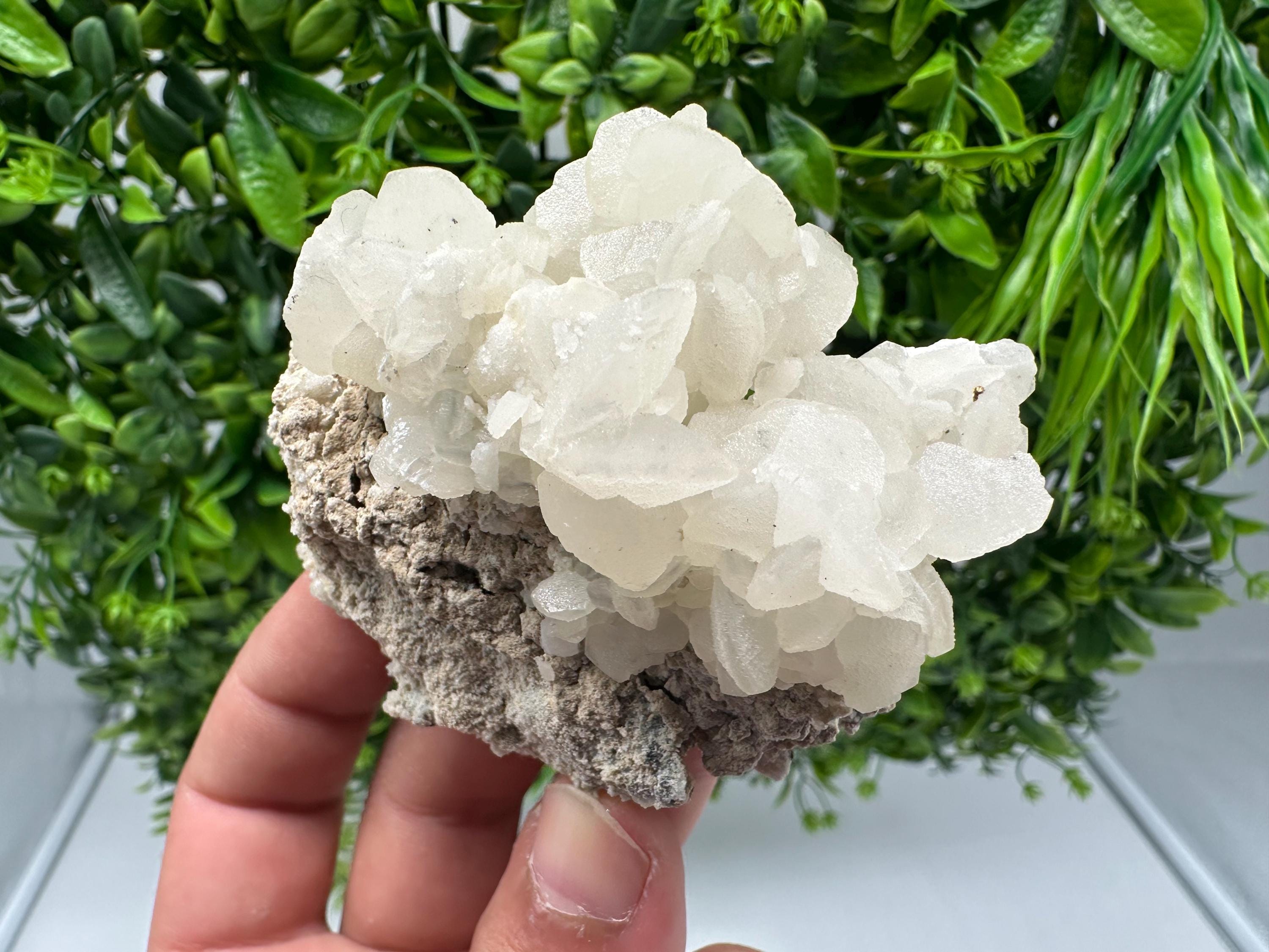 Rare Calcite Cluster on Matrix, Bulgaria Mineral Specimen, Home Decor