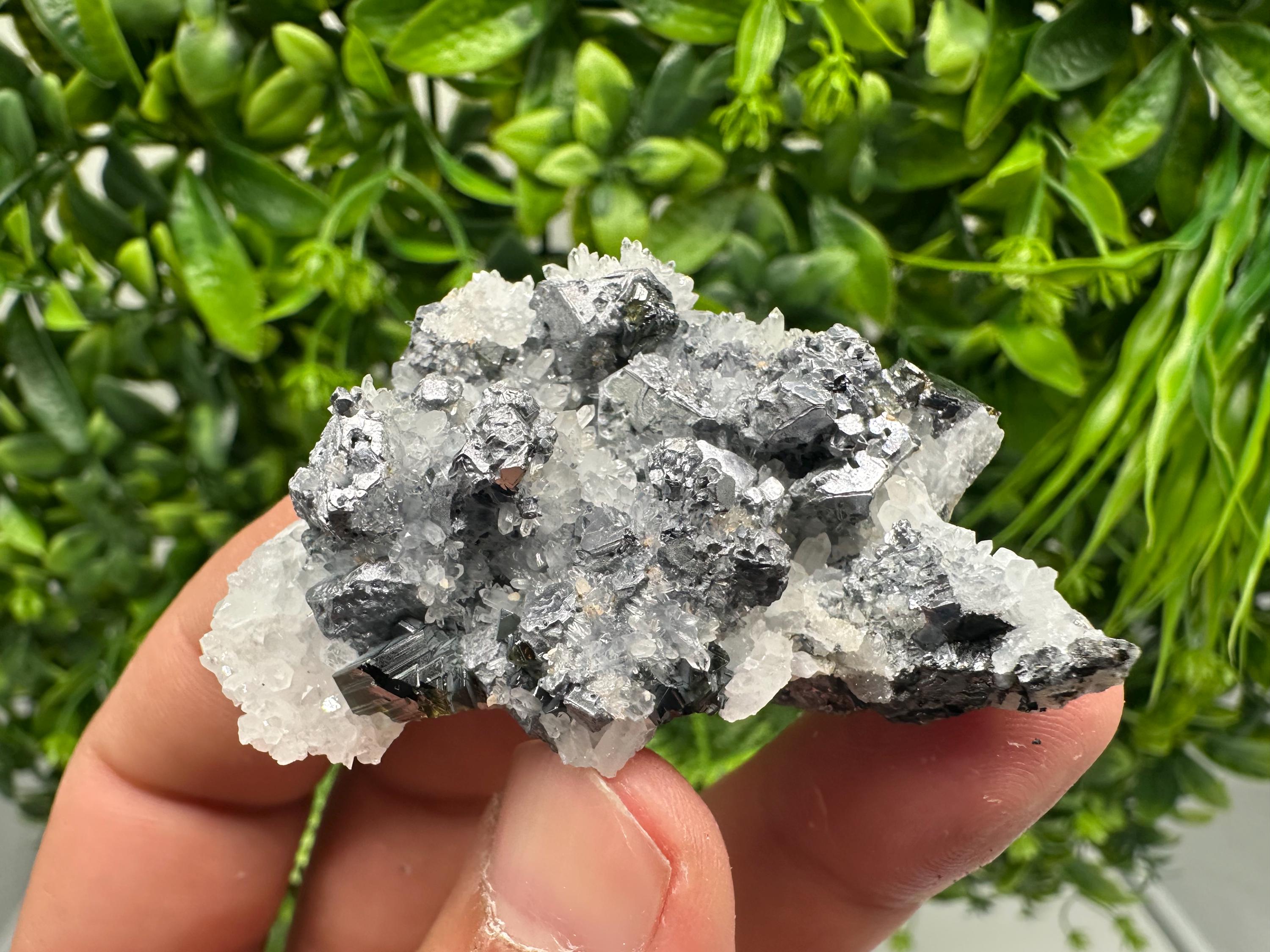 Rare Galena Sphalerite Pyrite Mineral Specimen: Krushev Dol Mine, Bulgaria