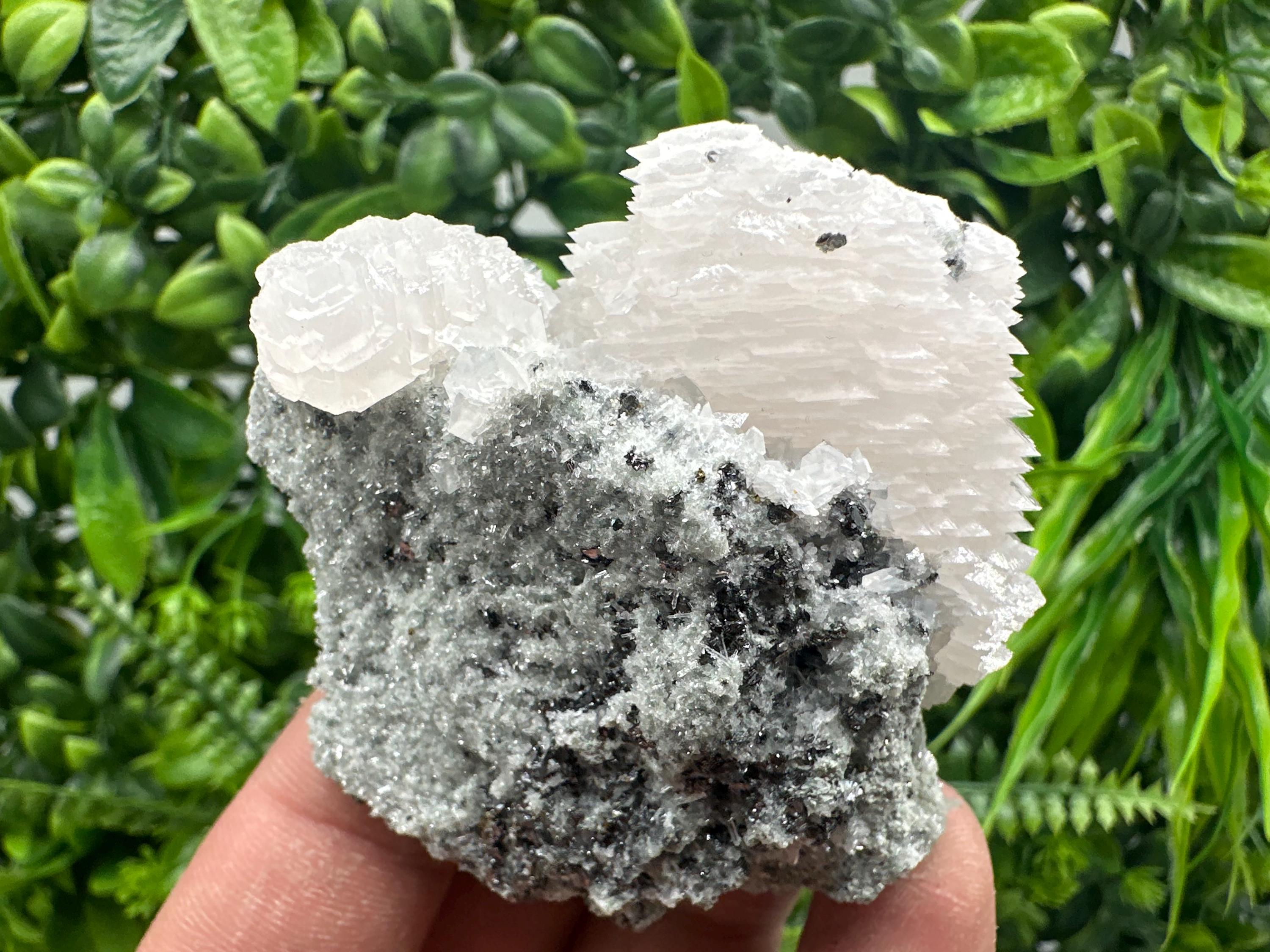 Calcite on Quartz with Sphalerite, Borieva Mine, Bulgaria