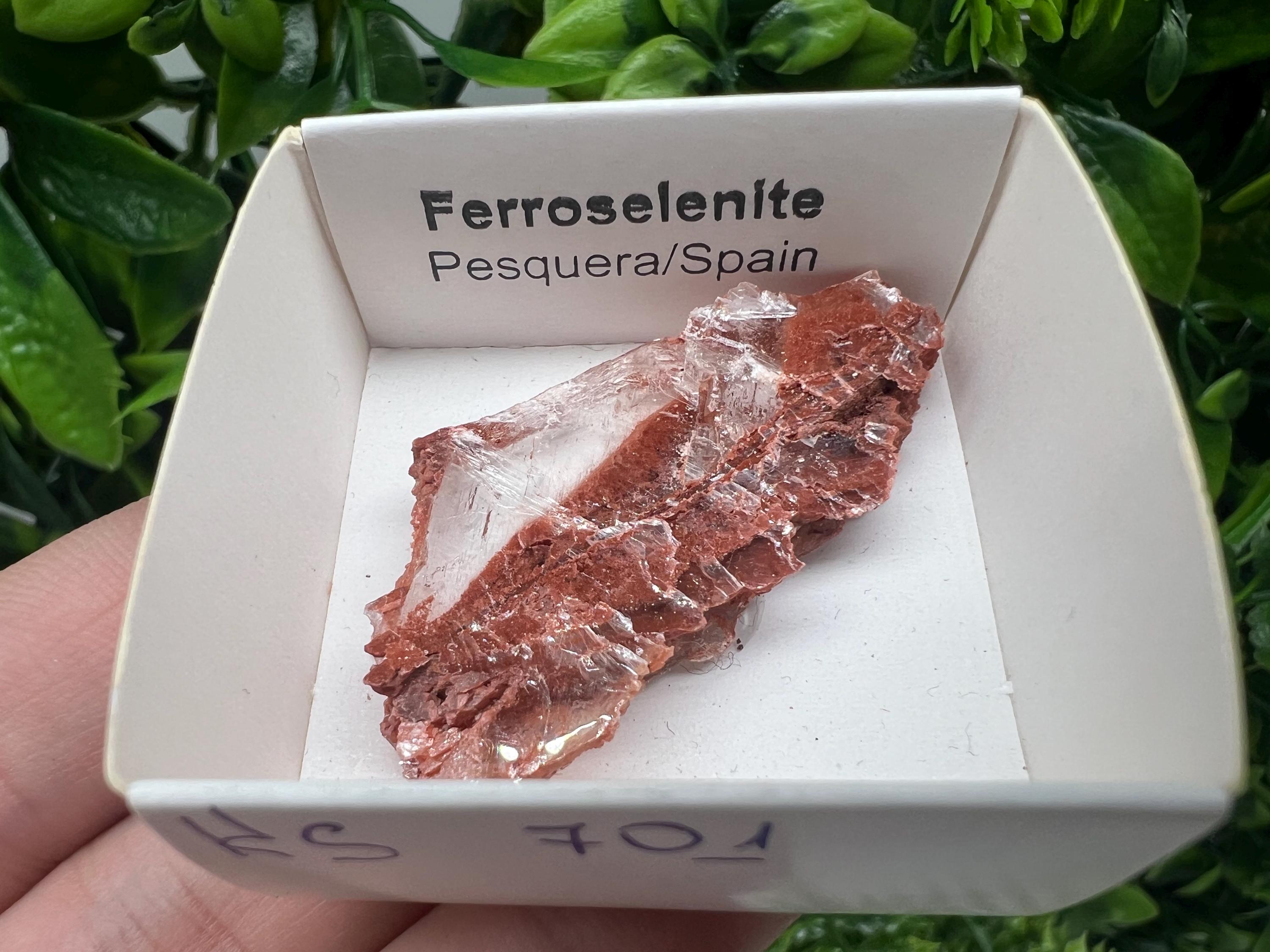 Rare Ferroselenite Crystal Specimen: La Pesquera, Spain (4.5/2.5 cm)