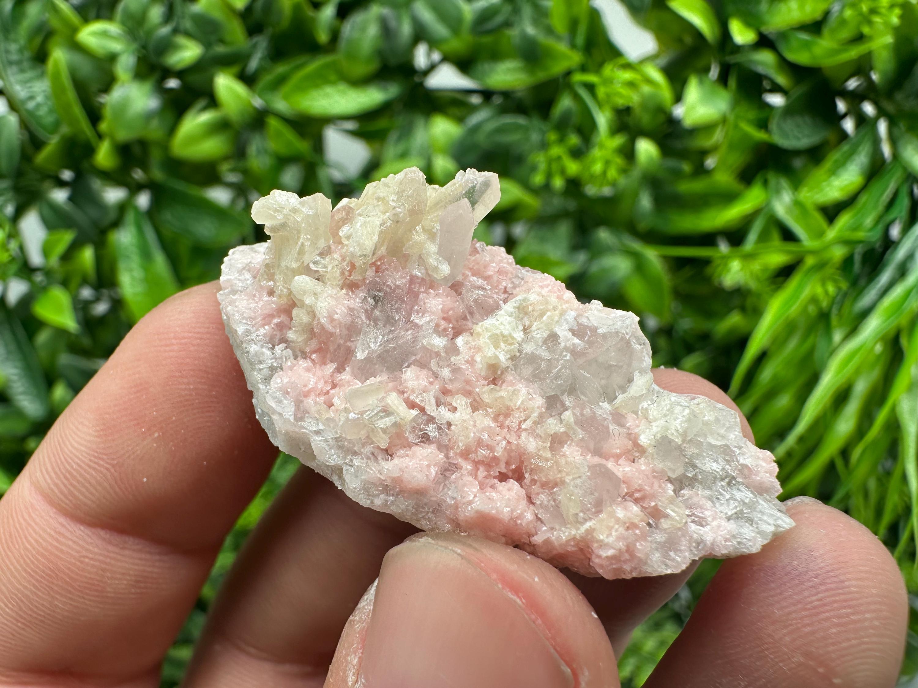 Rhodochrosite on Quartz, Starnica Mine, Bulgaria