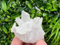 Wonderful Transparent Quartz on Chlorite Matrix,From Borieva mine,Madan,Bulgaria,Quartz,Quartz crystal,mineral specimen,collection quartz